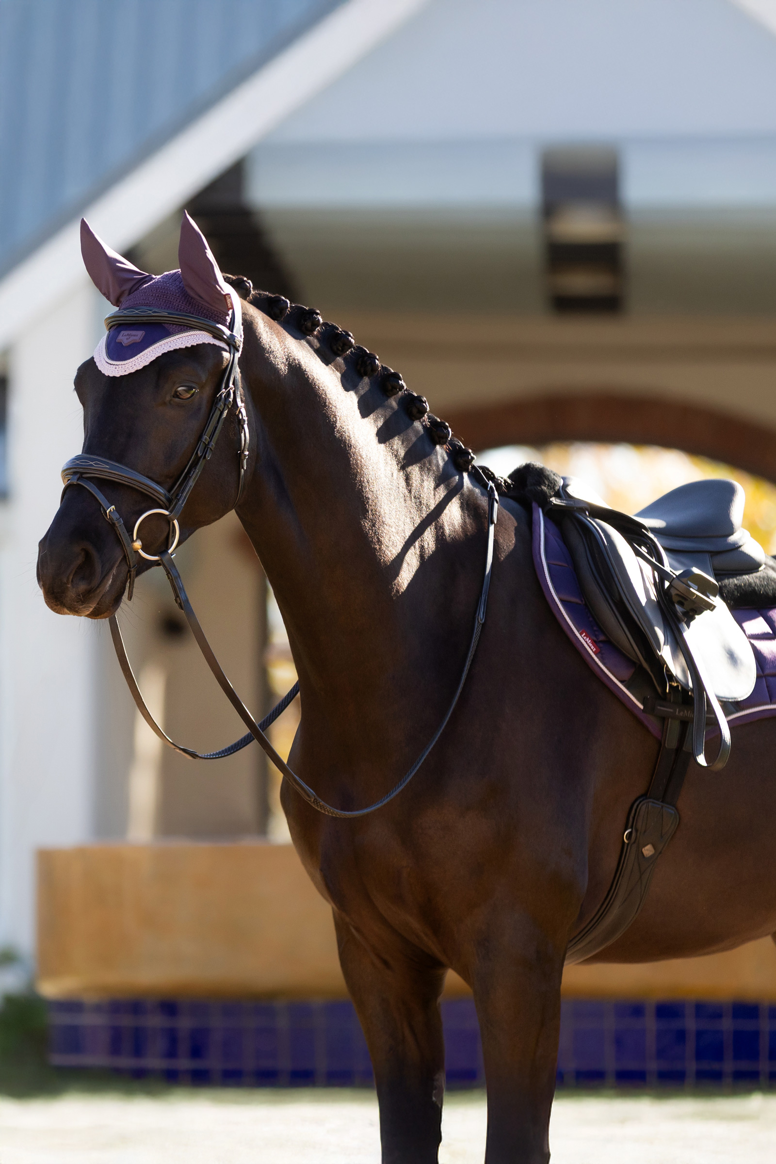 LeMieux Merino+ Loire klasyczna czaprak Close Contact