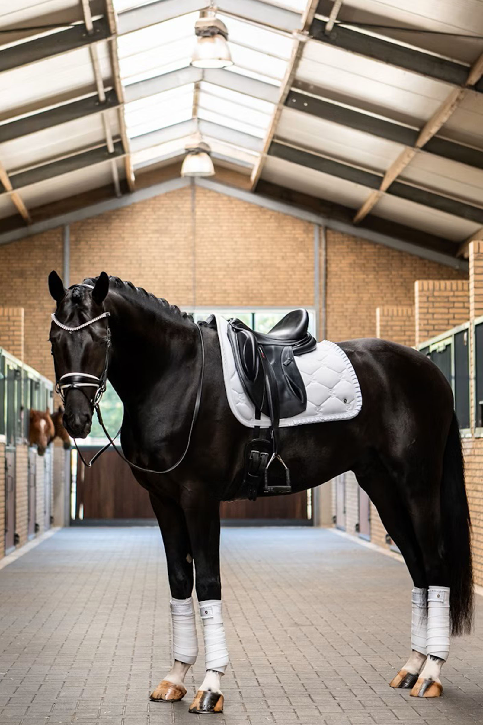 PS of Sweden czaprak ujeżdżeniowy Ruffle