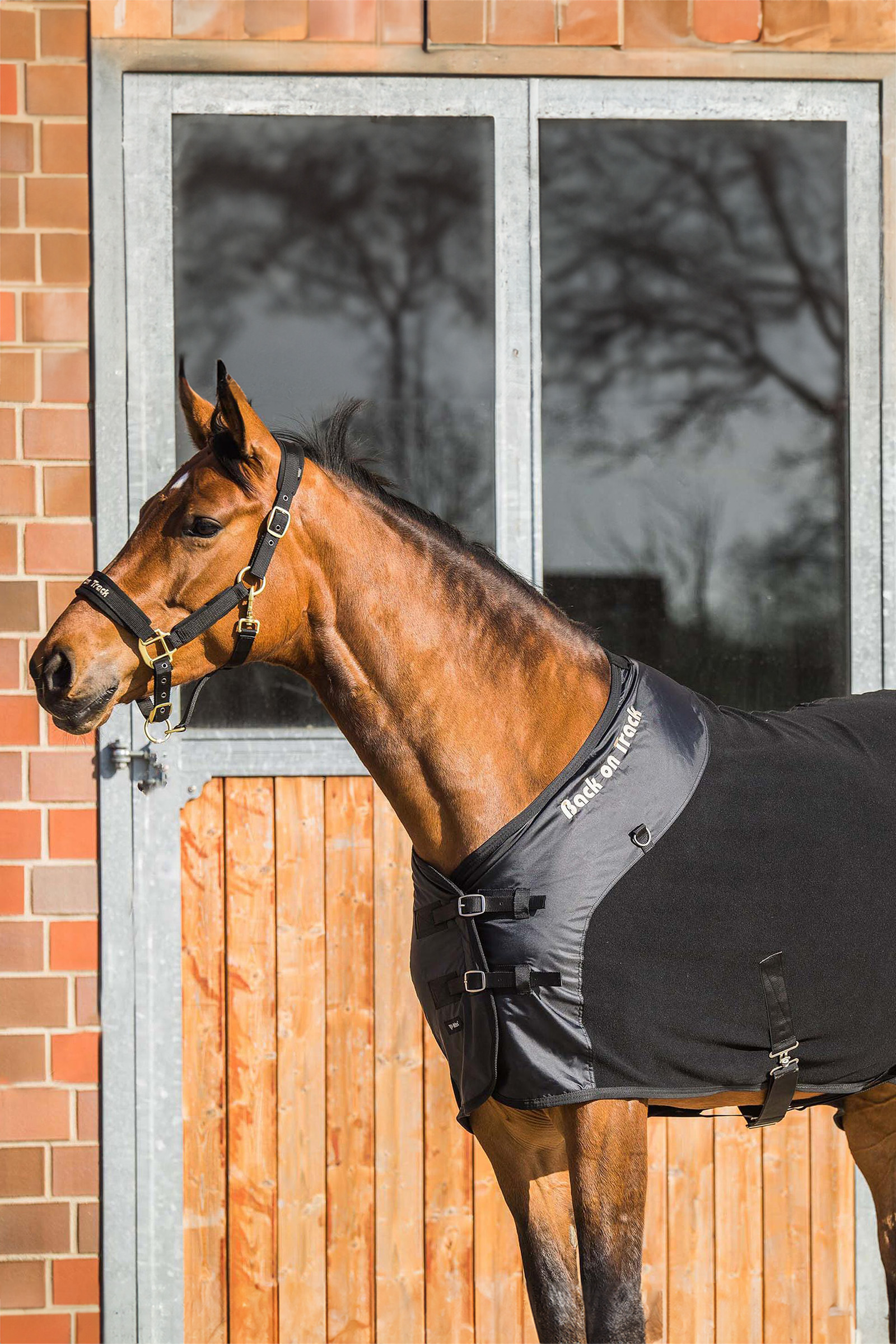 Derka polarowa Back on Track Supreme