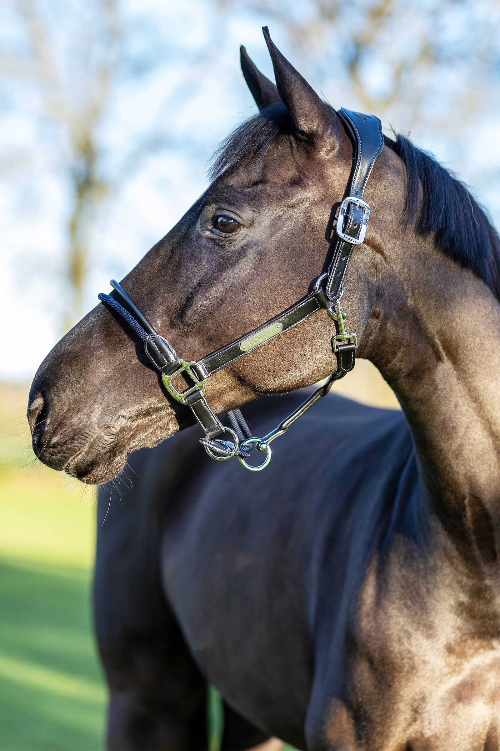 LeMieux Kantar sznurkowy