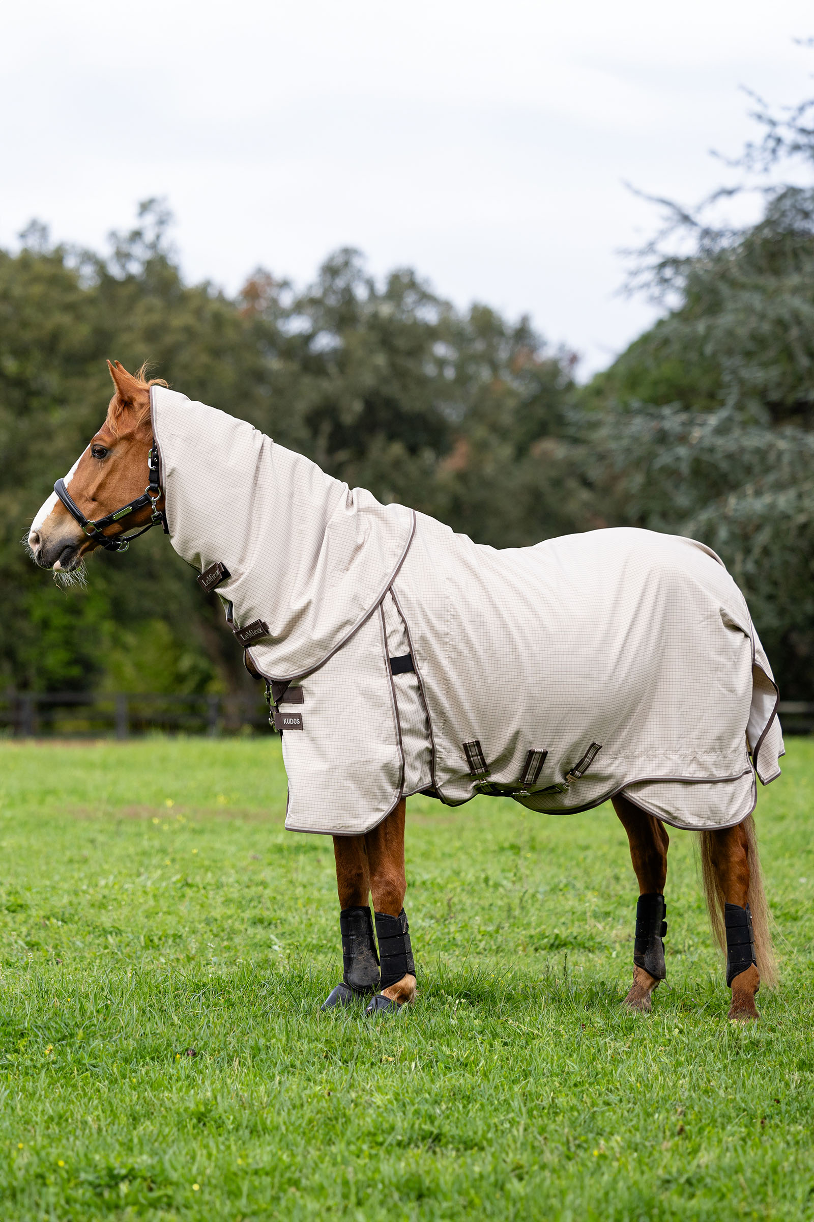 LeMieux Kudos derka padokowa