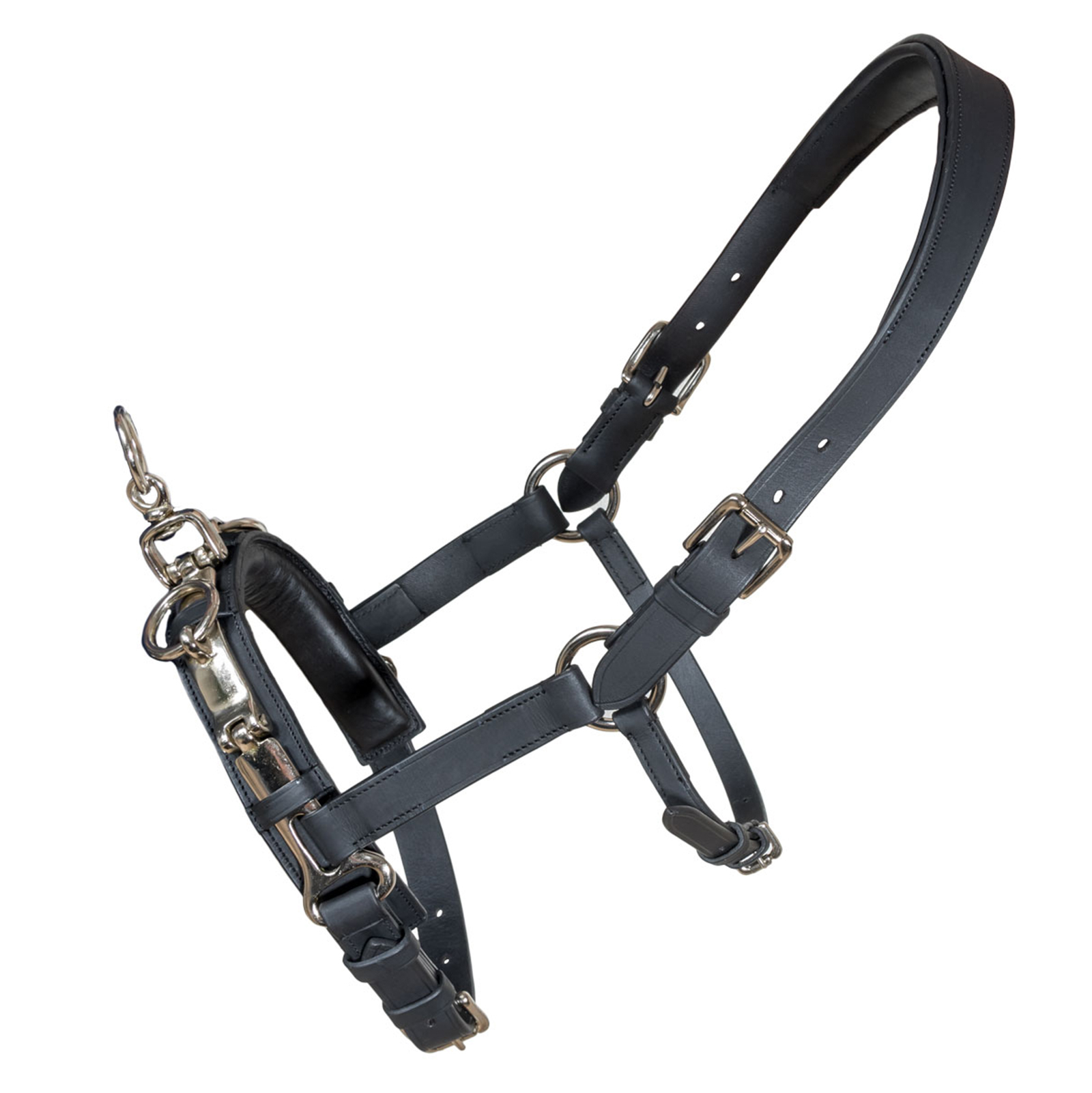 Karlslund Fengur Kantar Kapsun