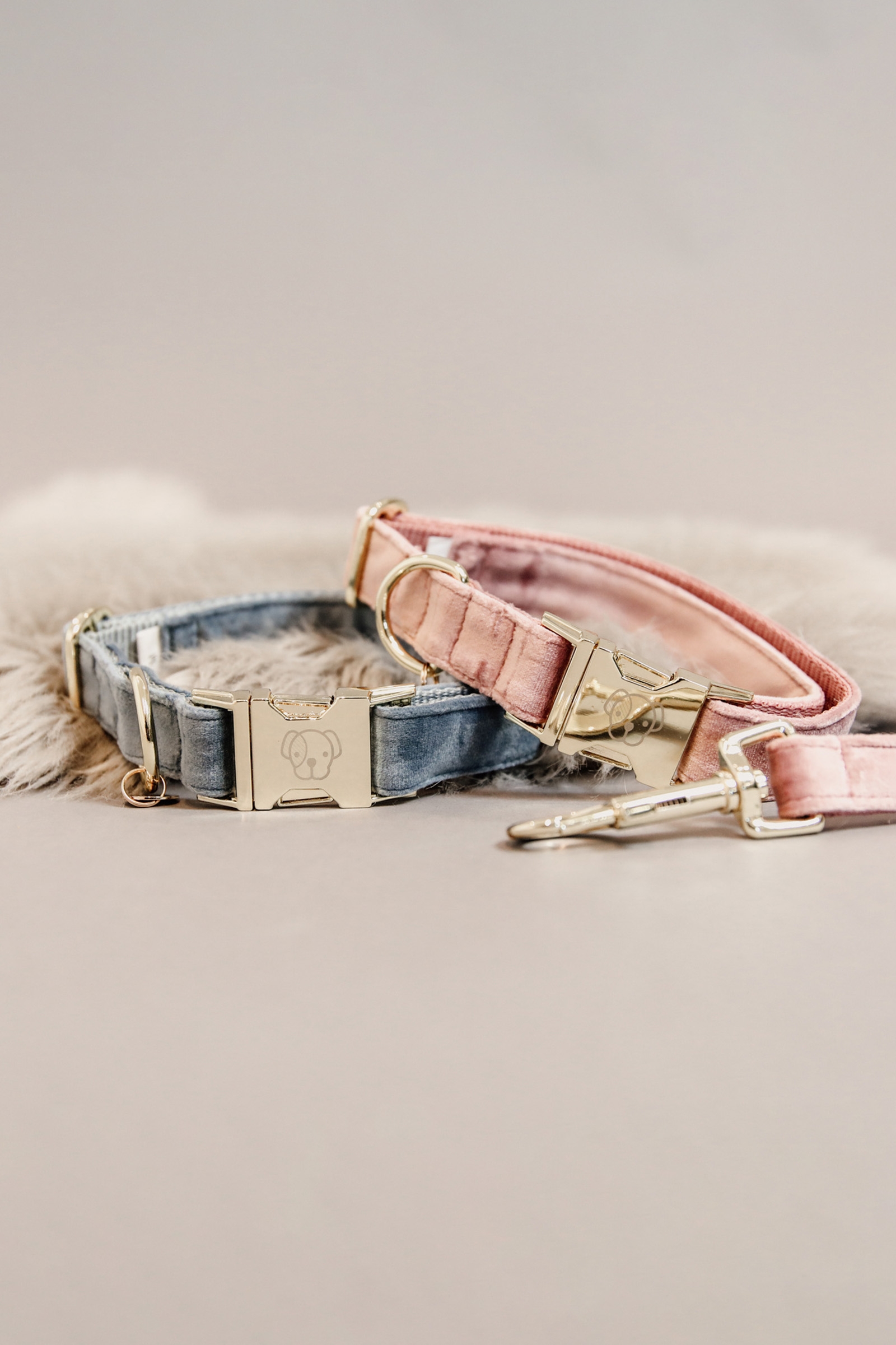 Obroża dla psa Kentucky Dogwear Velvet