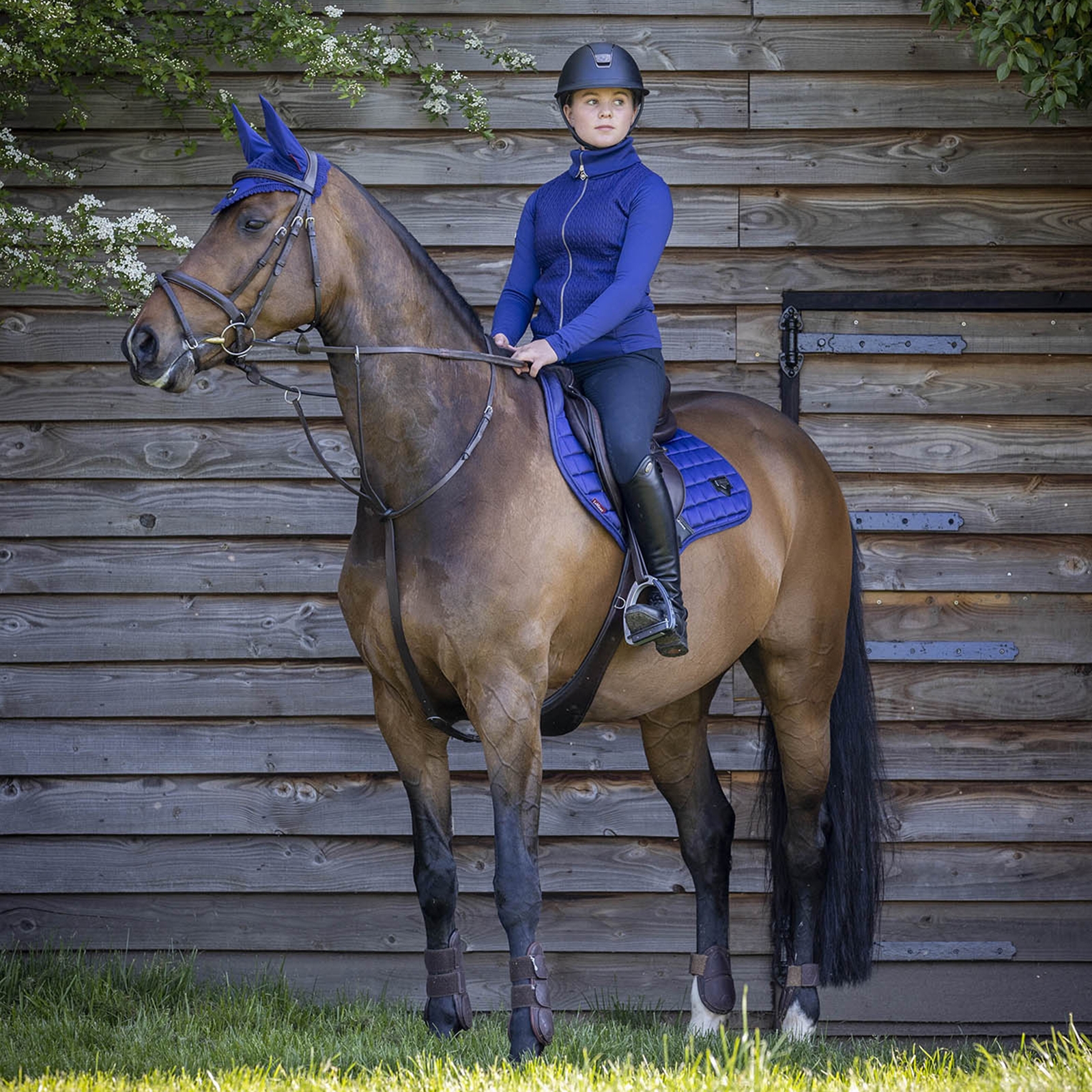 LeMieux Loire Classic Square CC Czaprak skokowy