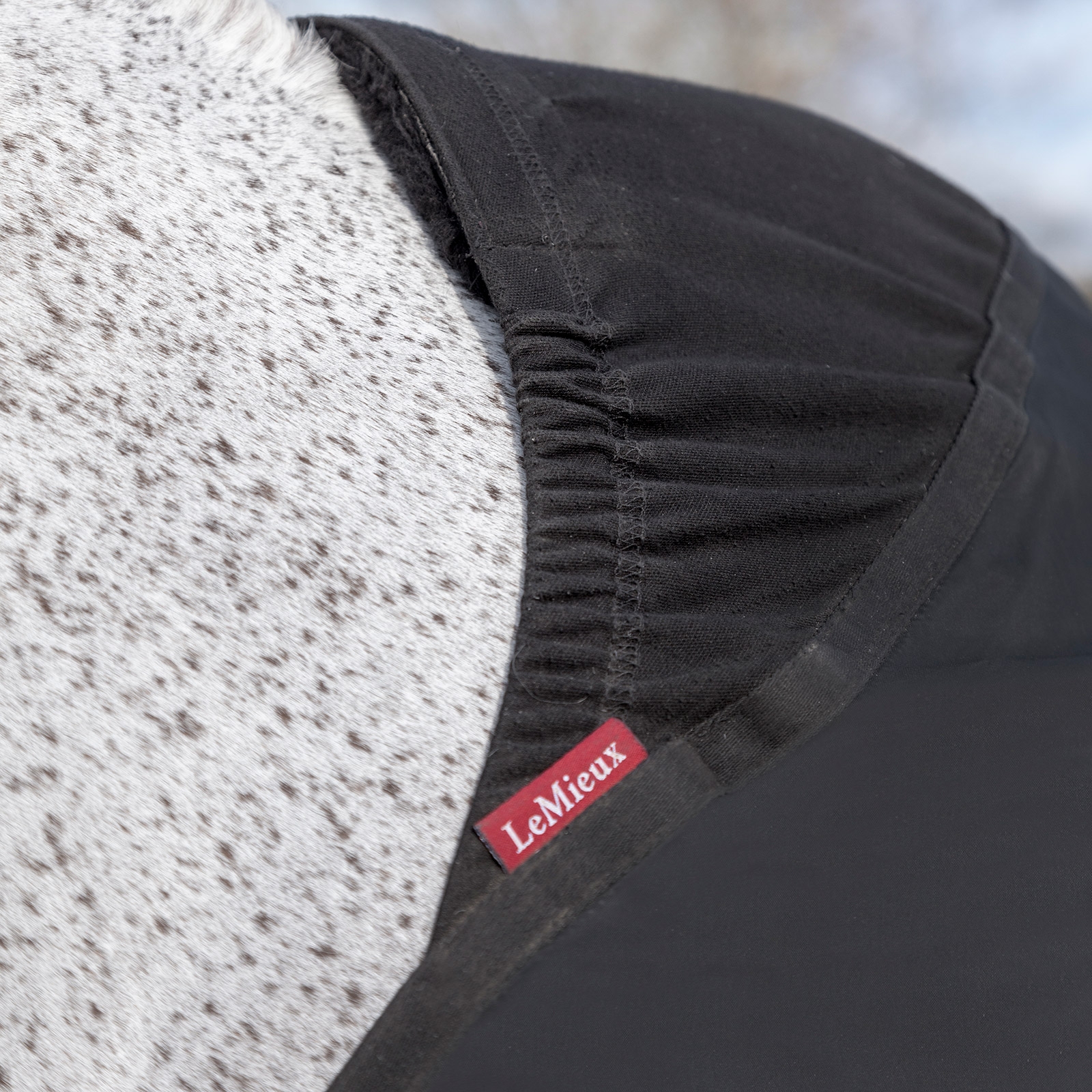 Półderka na przód