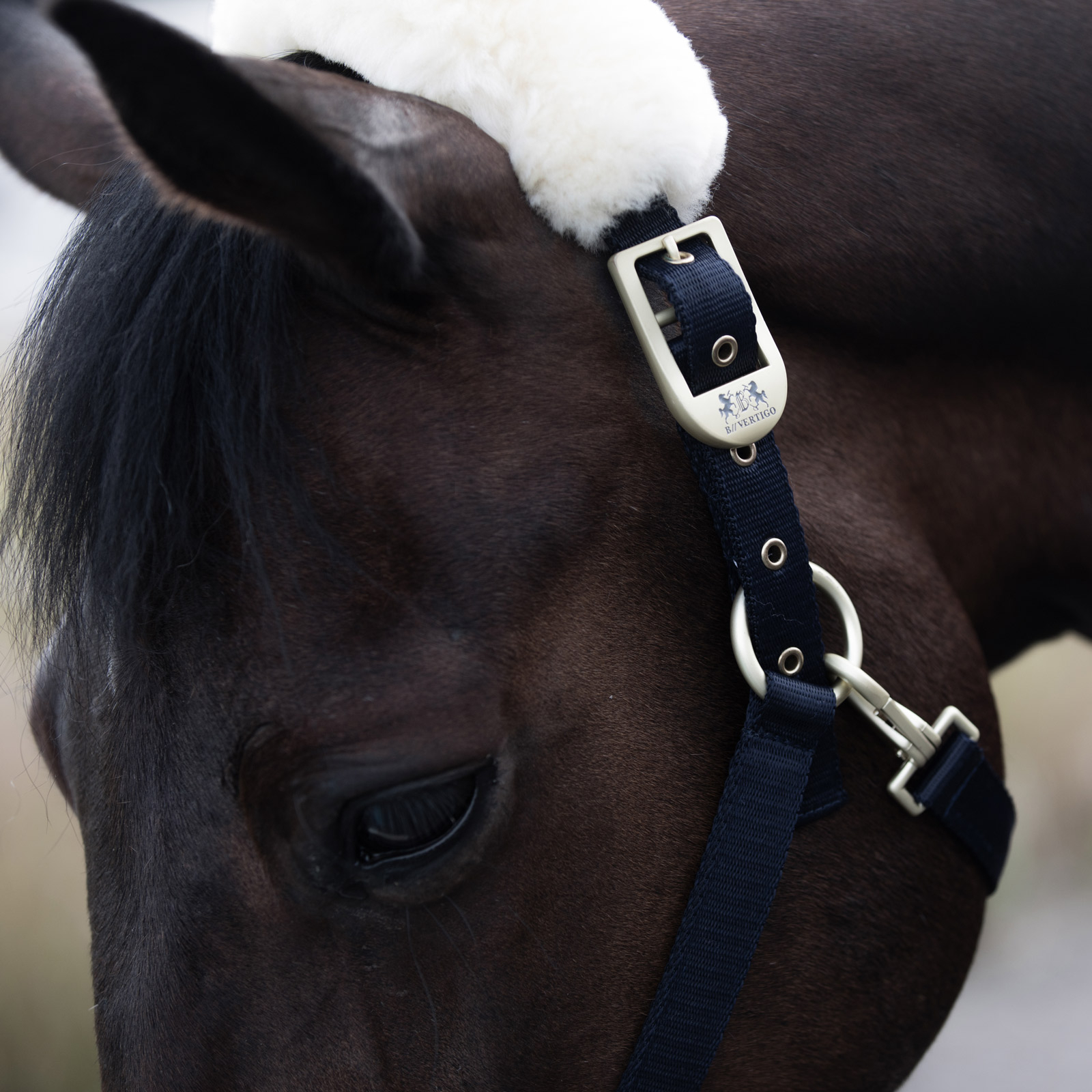 Kantar B Vertigo Laurier z jagnięcym futerkiem