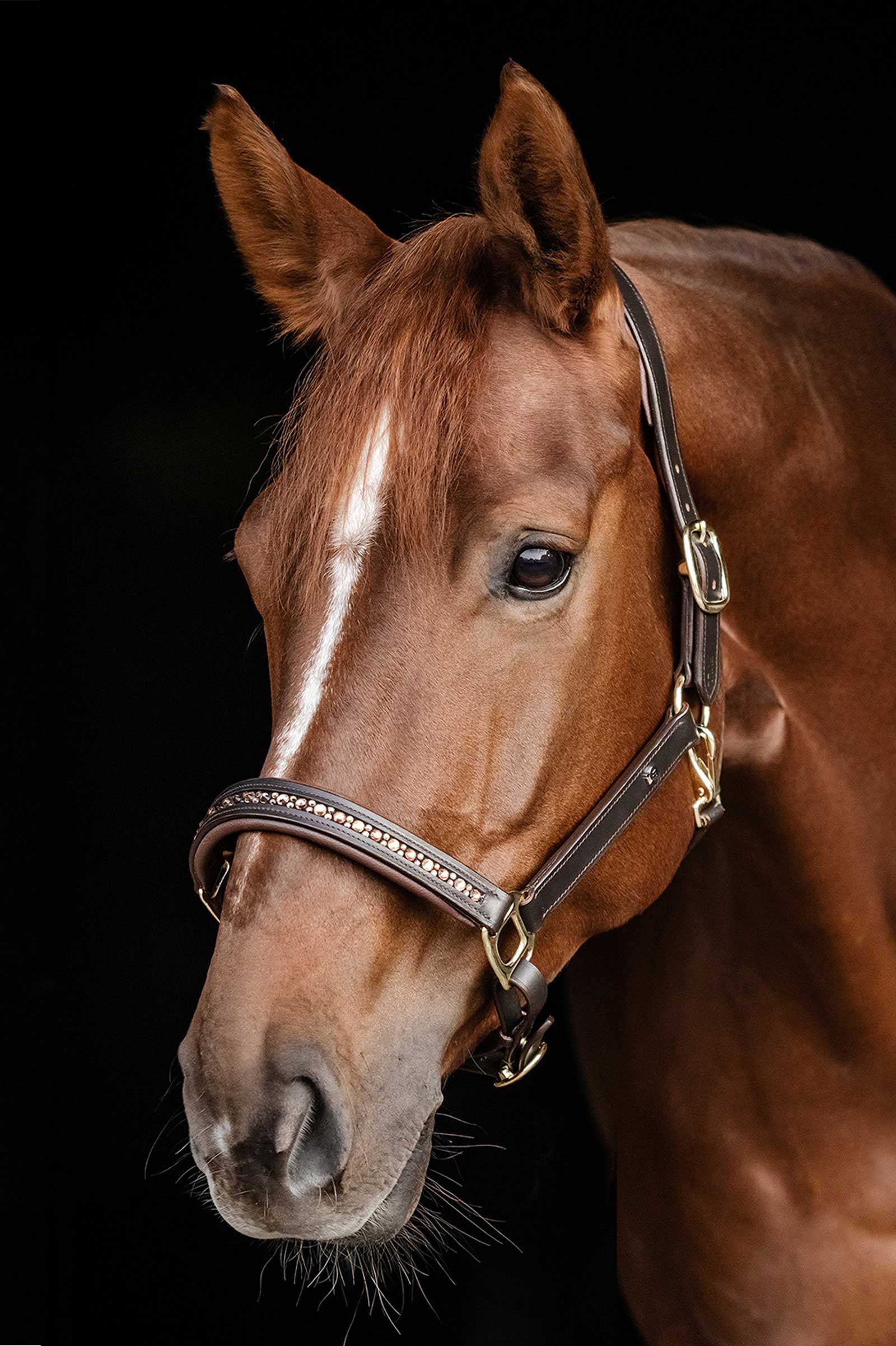 Waldhausen X-Line Crystal Sk&oacute;rzany Kantar