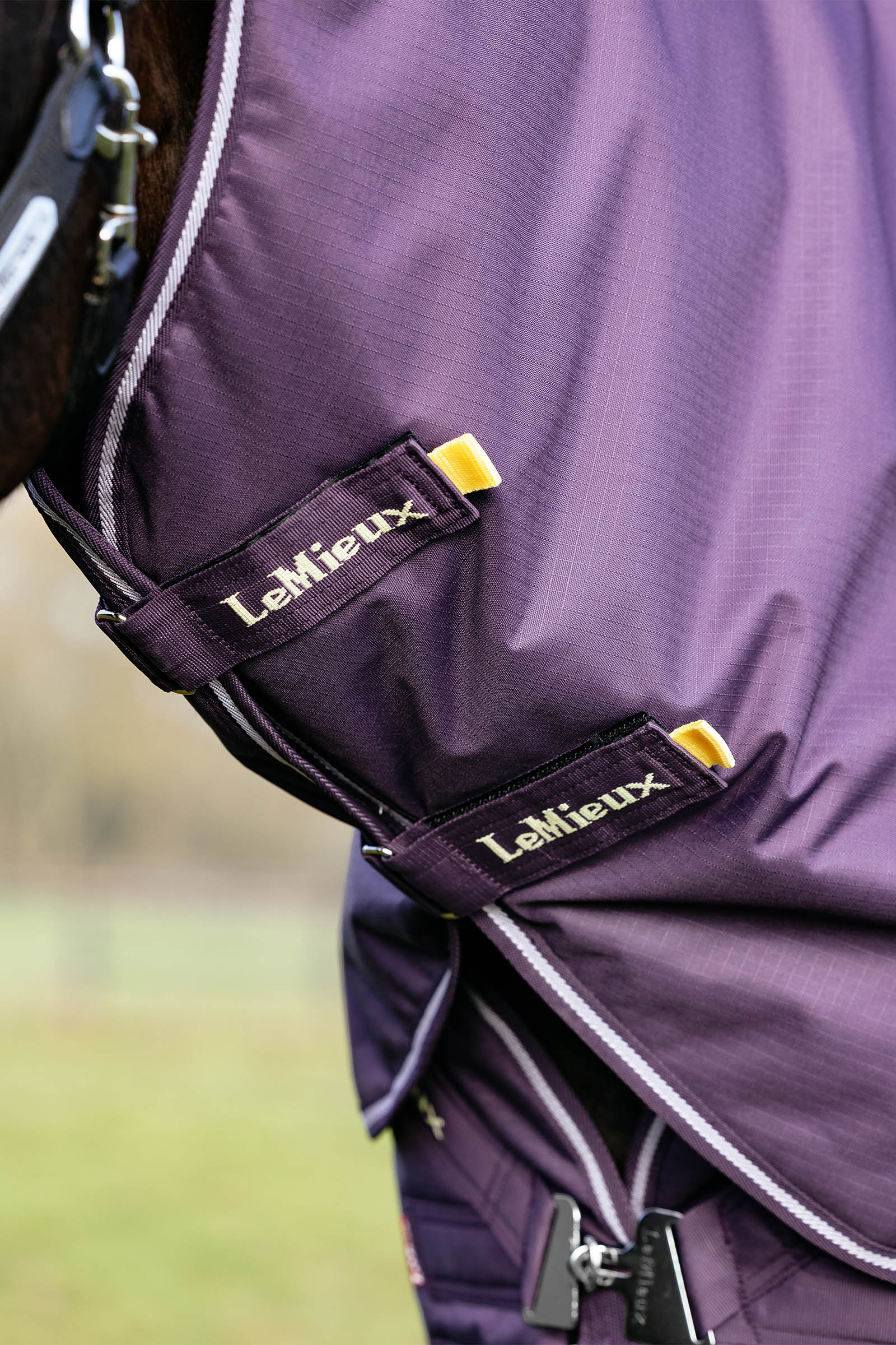 LeMieux Arika Ripstop Turnout Rug With Detachable Neck, 200 g