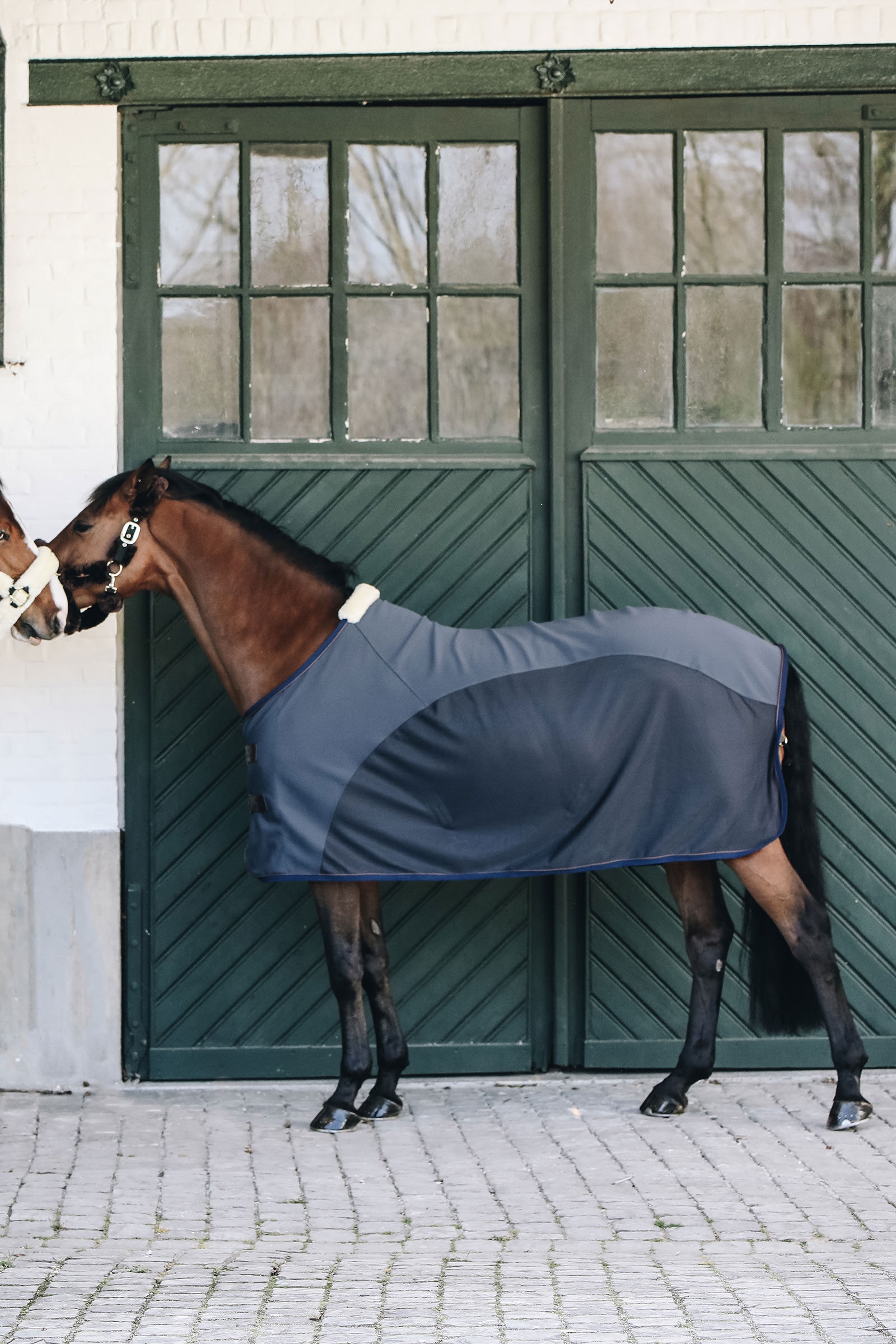 Derka Kentucky Horsewear Cooler Softshell