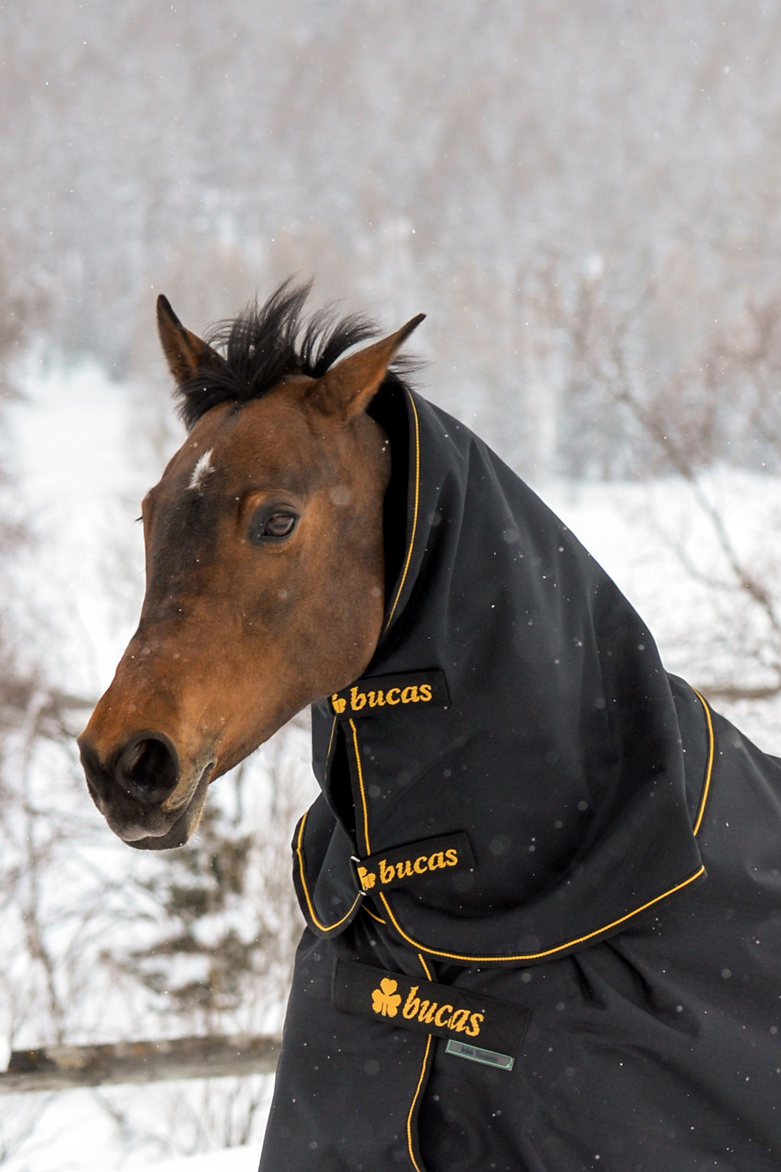 Bucas Irish Turnout szyjnik, 300g