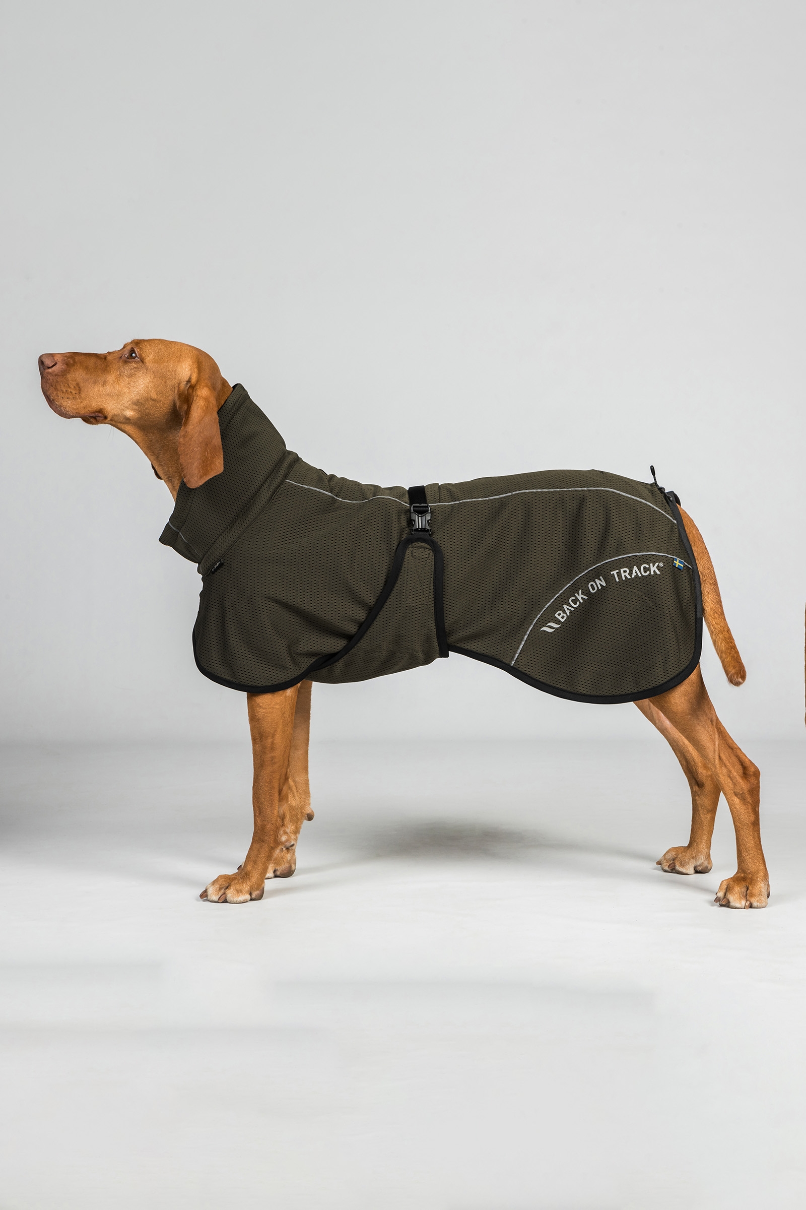 Back on Track Bay Mesh Dog Coat, High Set Tail