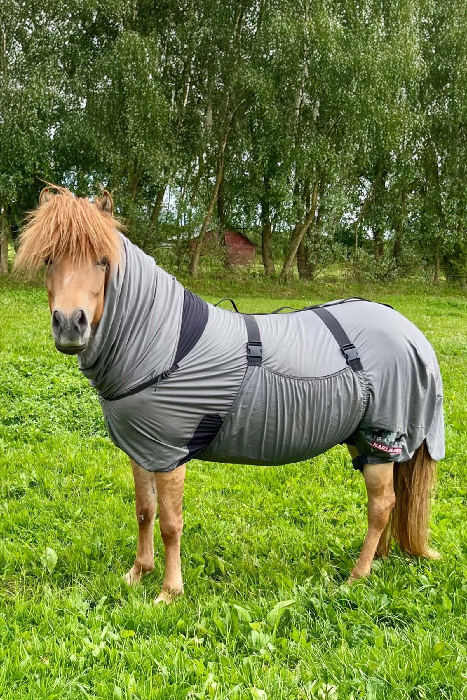 Karlslund Matti Derka przeciwświądowa ze stałą szyją, 0g