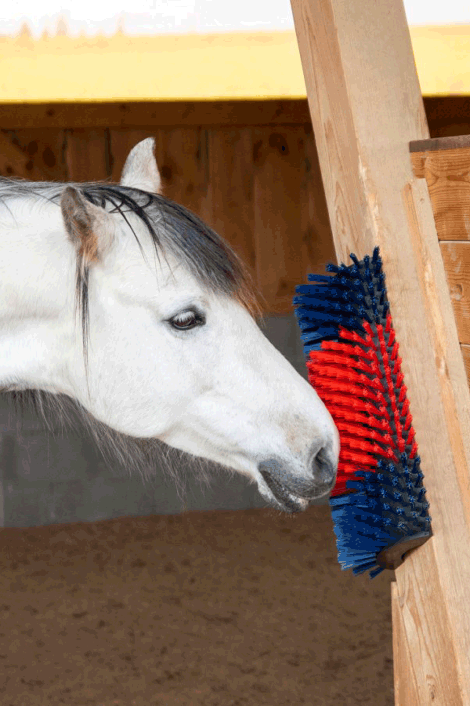 Kerbl XL szczotka do drapania, okrągła