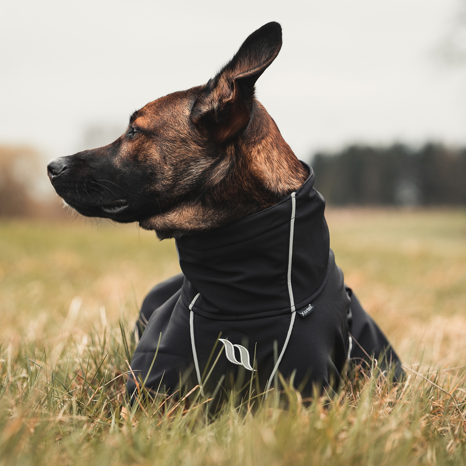 Back on Track Nella All-Round Dog Coat, 25-35cm