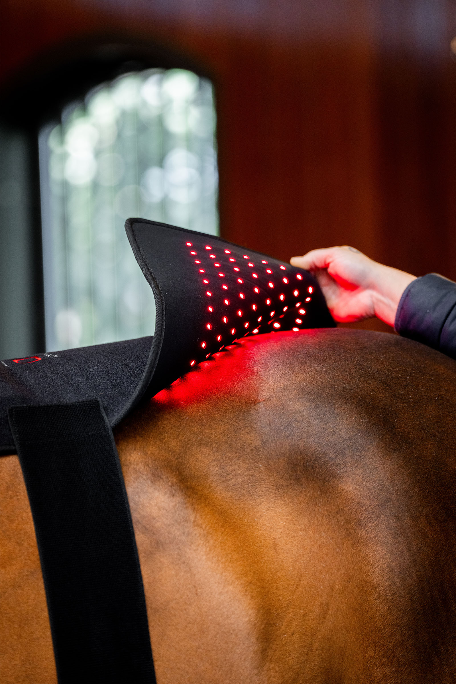 Horseware LED terapeutyczny Pad z czerwonym światłem