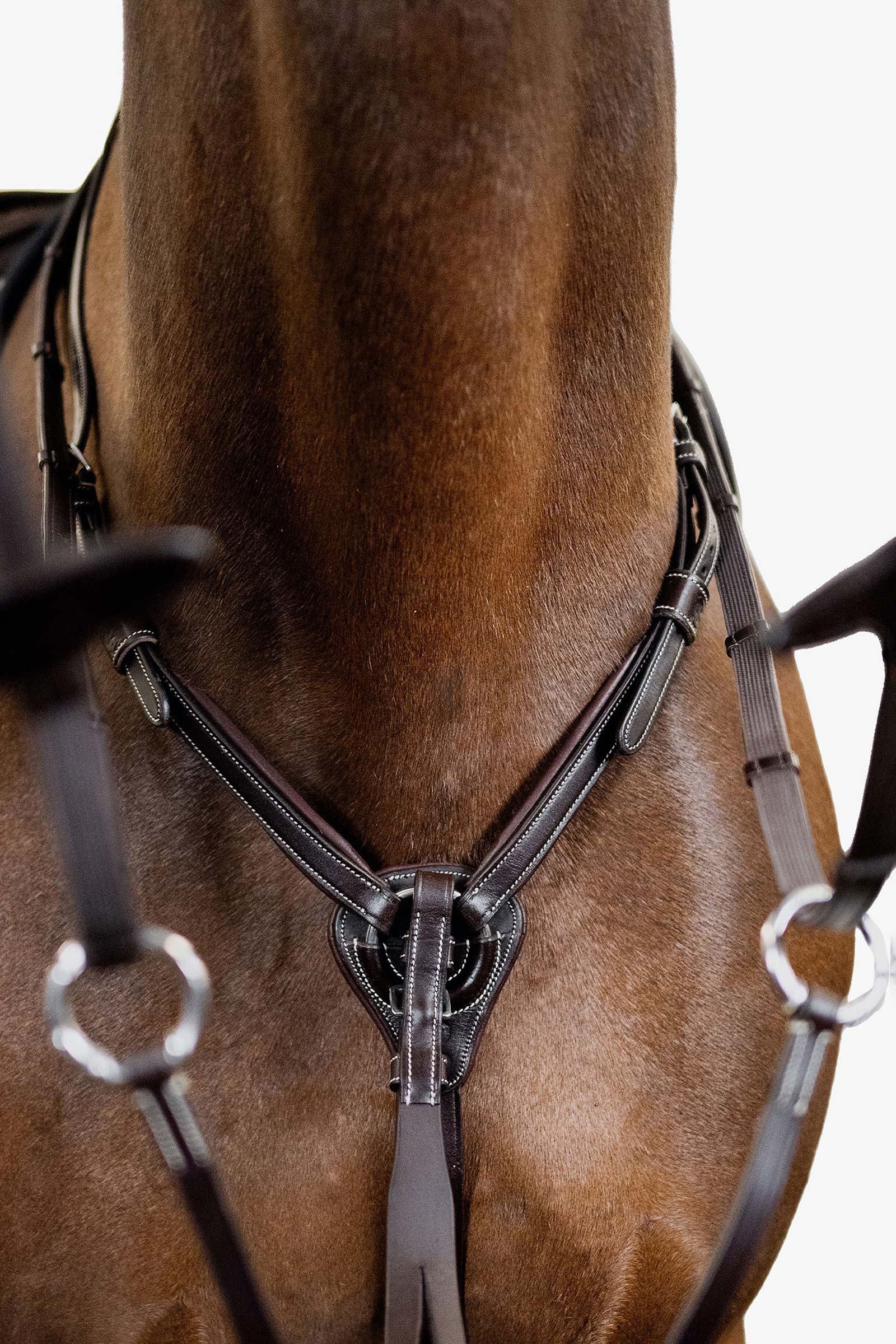 PS of Sweden Seoul Martingale