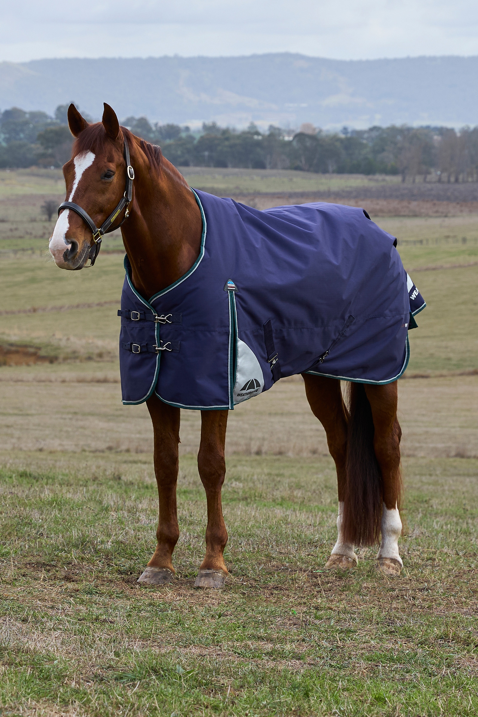 Navy/Forest Green Weatherbeeta ComFiTecPlus Dynamic Derka zewnętrzna z odpinaną szyją, 100 g  