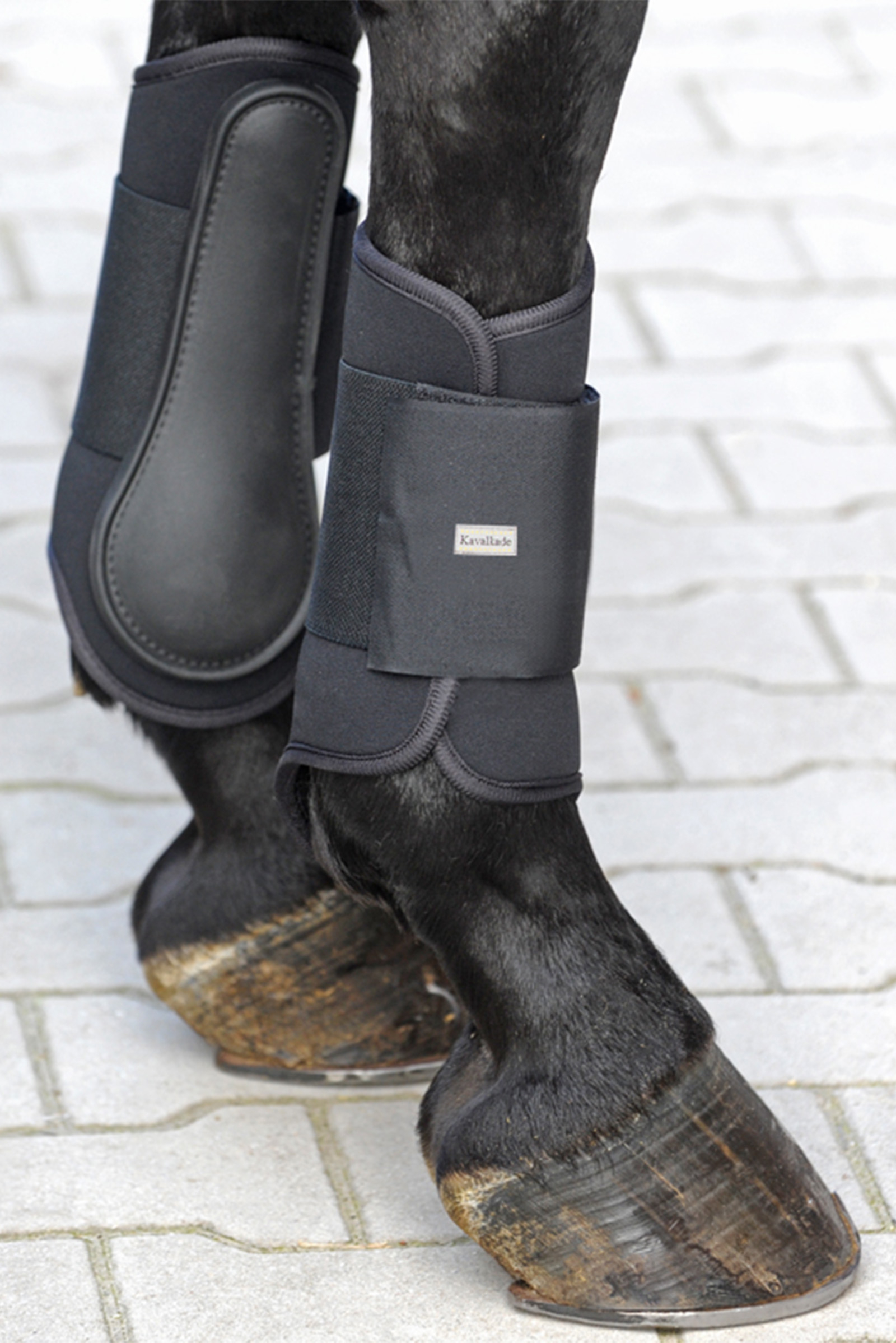 Miękkie buty do szczotkowania Kavalkade KavalPren, przód