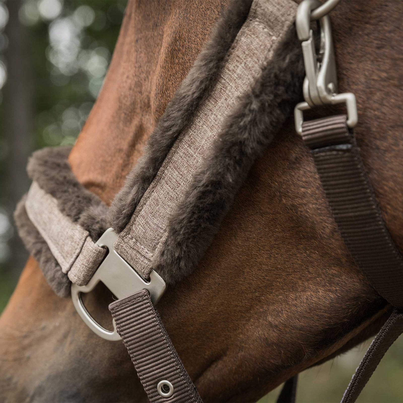 Kantar Back on Track Haze