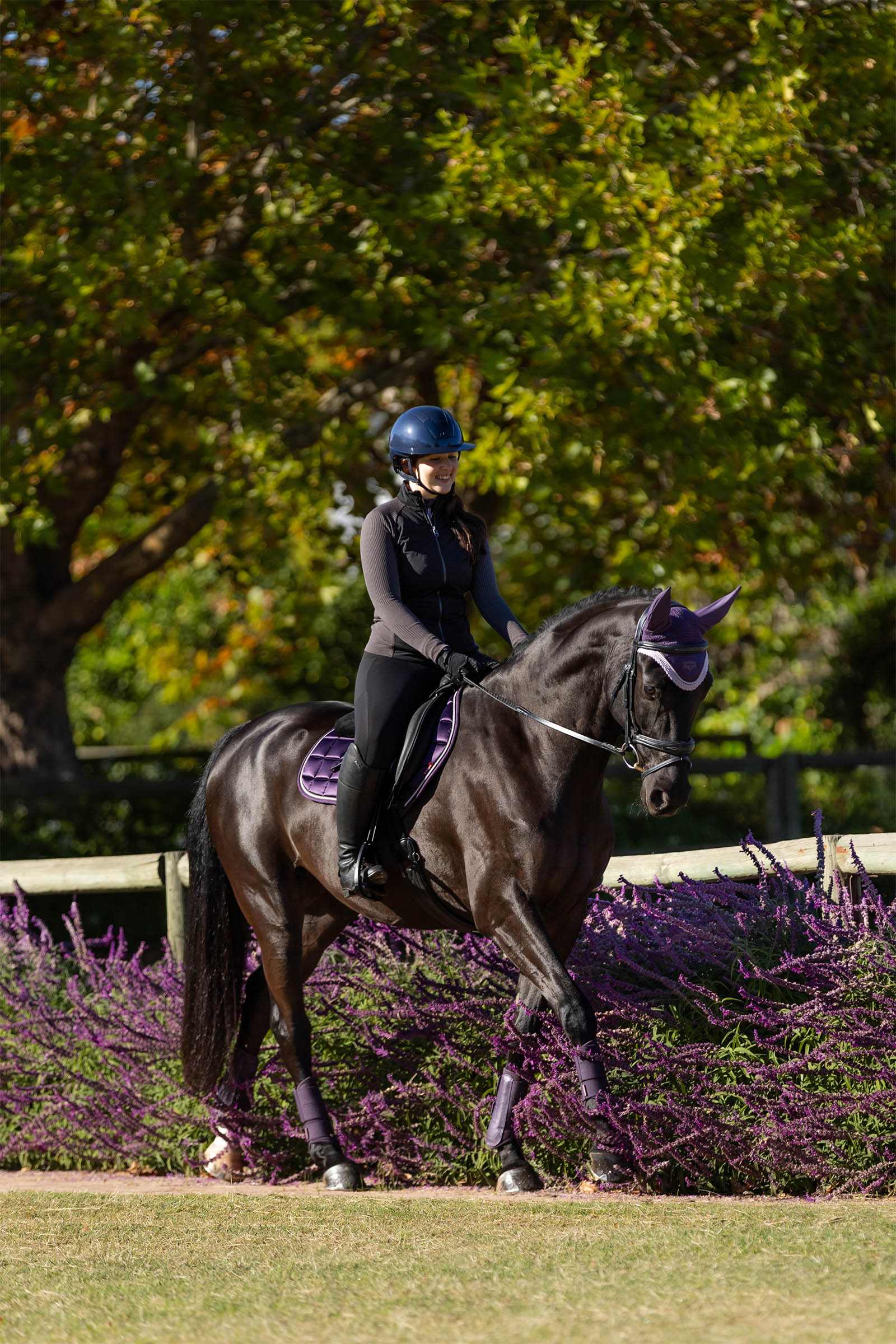 LeMieux Merino+ Loire klasyczna czaprak Close Contact