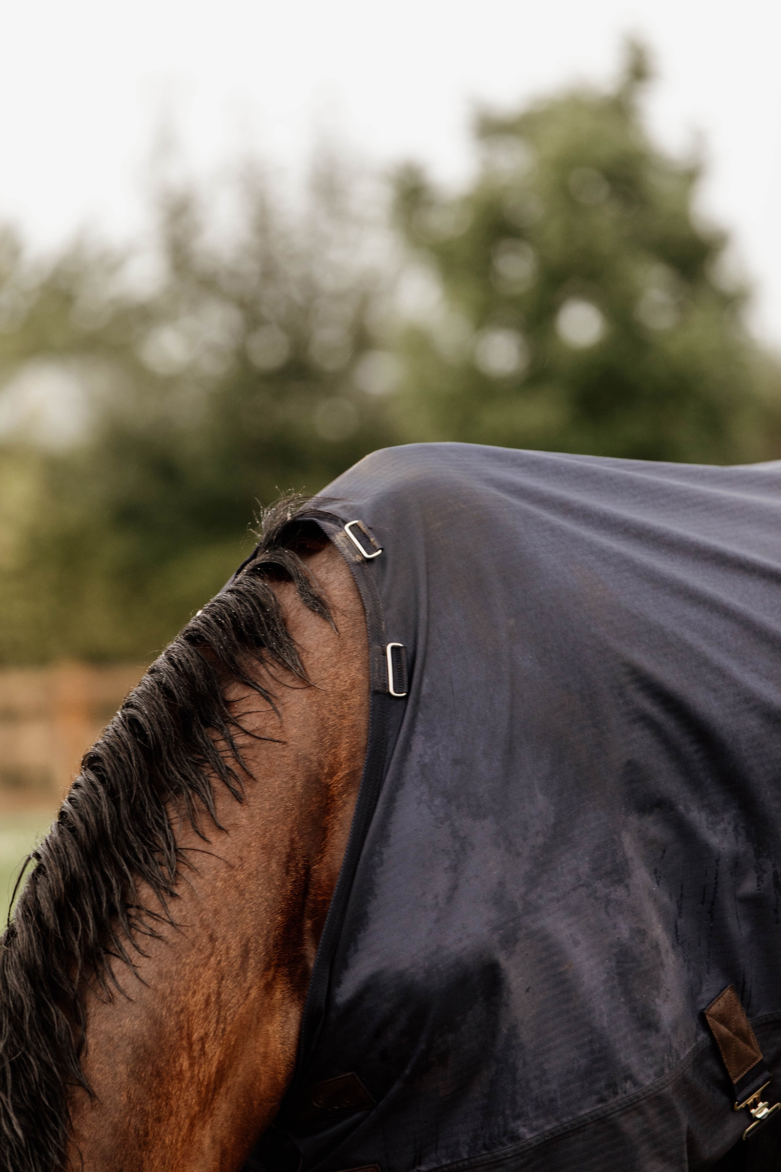 Derka Kentucky Horsewear Turnout na każdą pogodę, 300 g