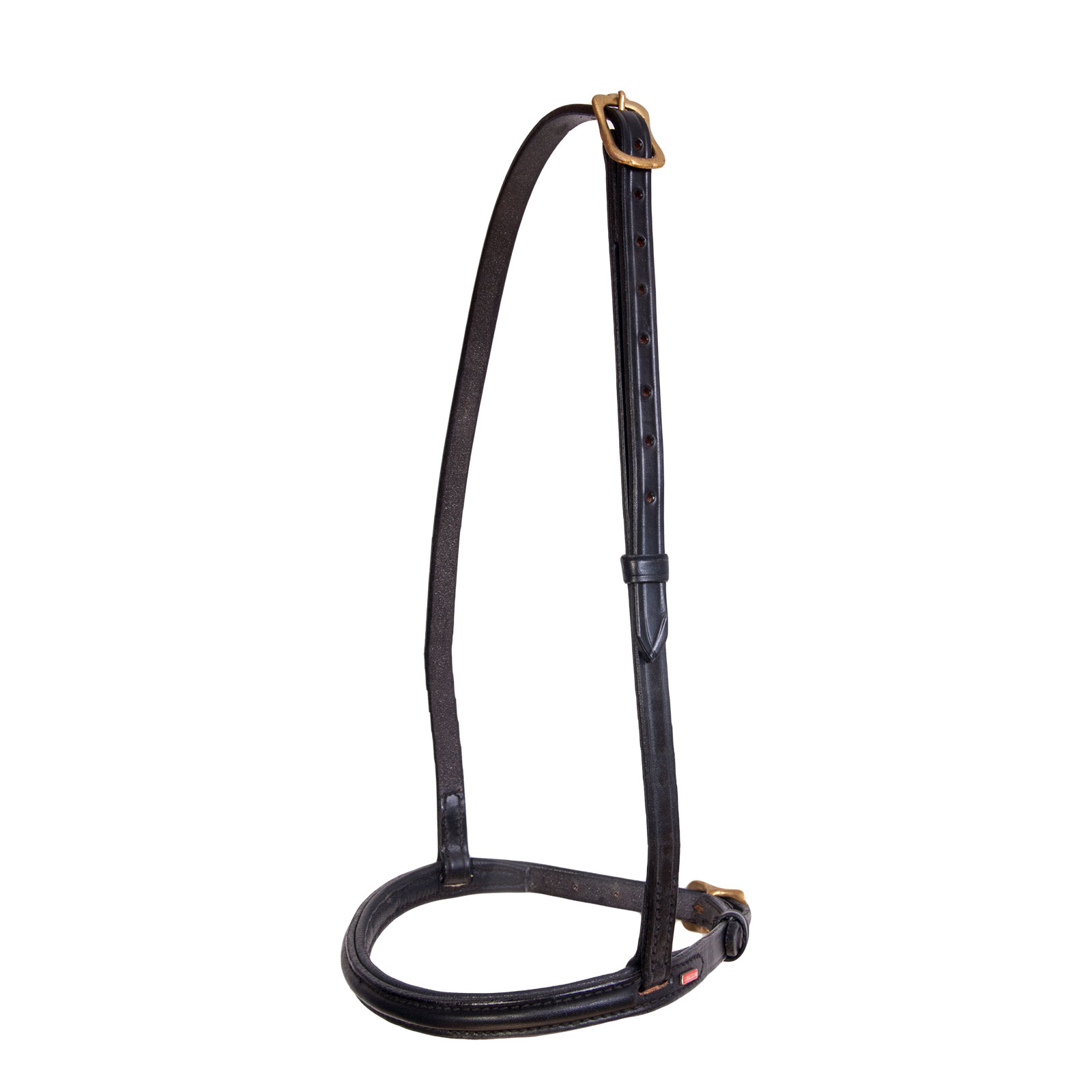 Nachrapnik angielski Karlslund Islandia