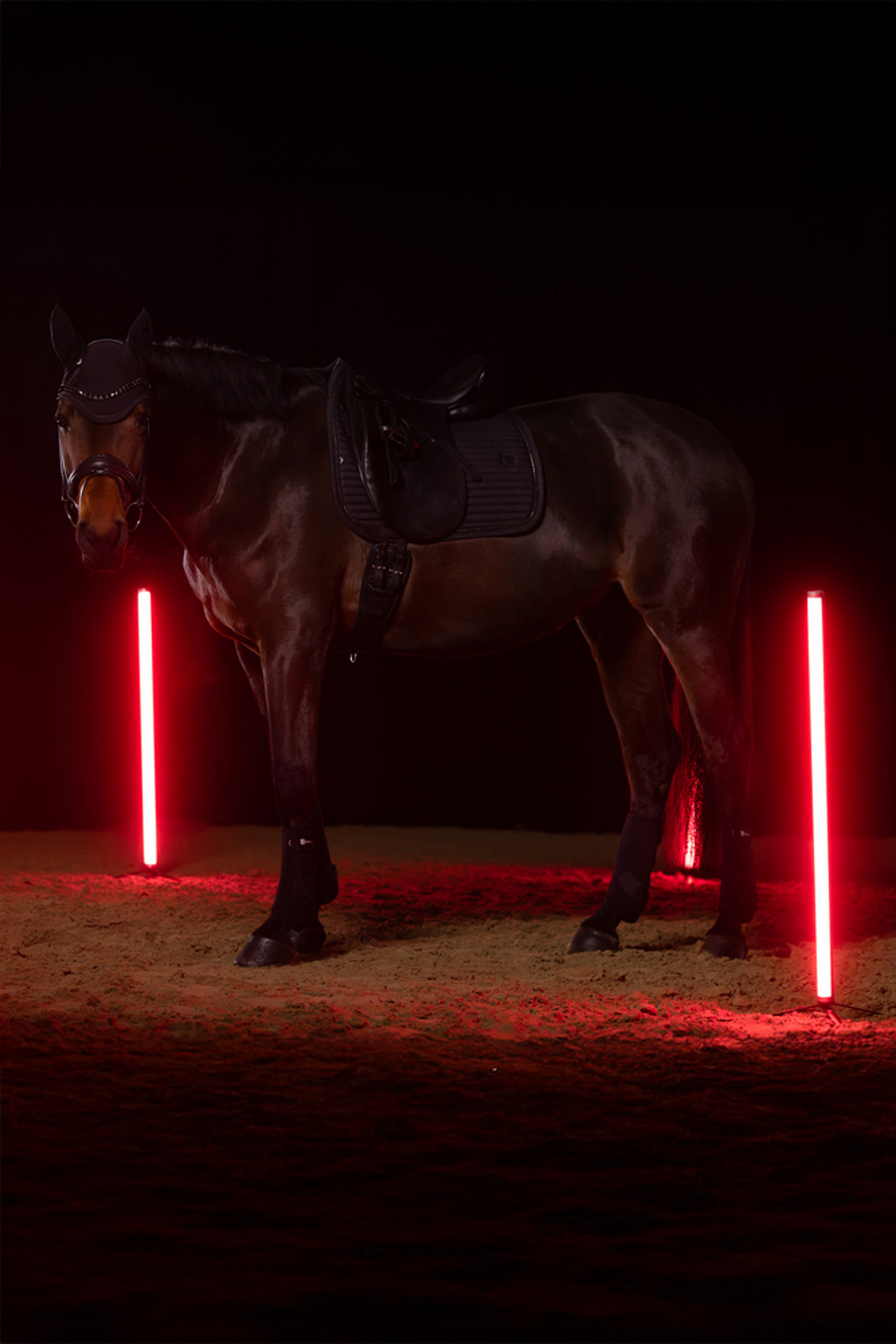 Eskadron Dynamics AW25 Sparkle Crystal czaprak ujeżdżeniowy