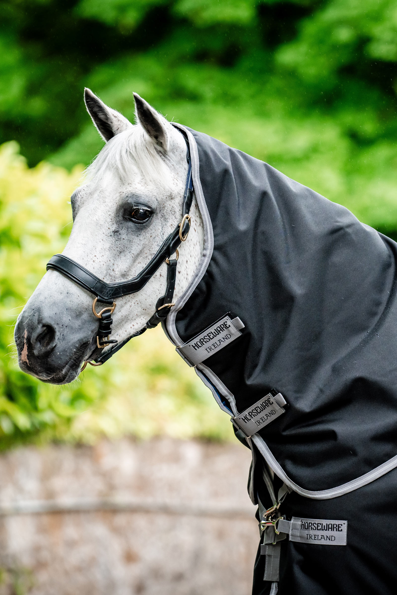 Horseware Amigo 1200D Plus derka padokowa, 50 g