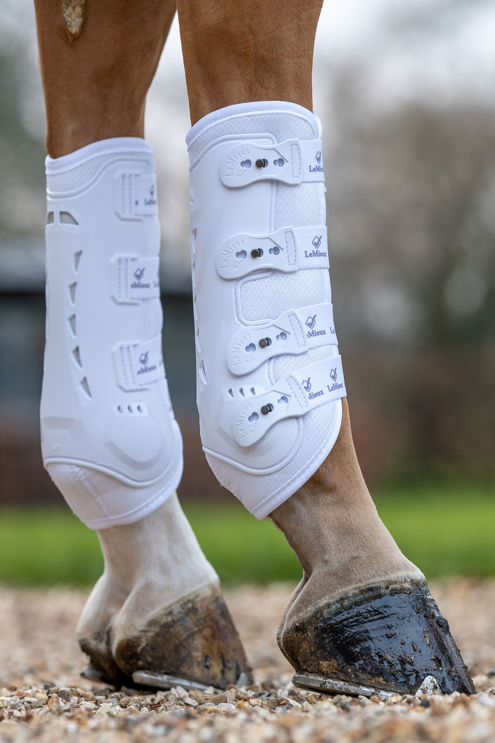 LeMieux Ultra Mesh Snug ochraniacze na tylne nogi