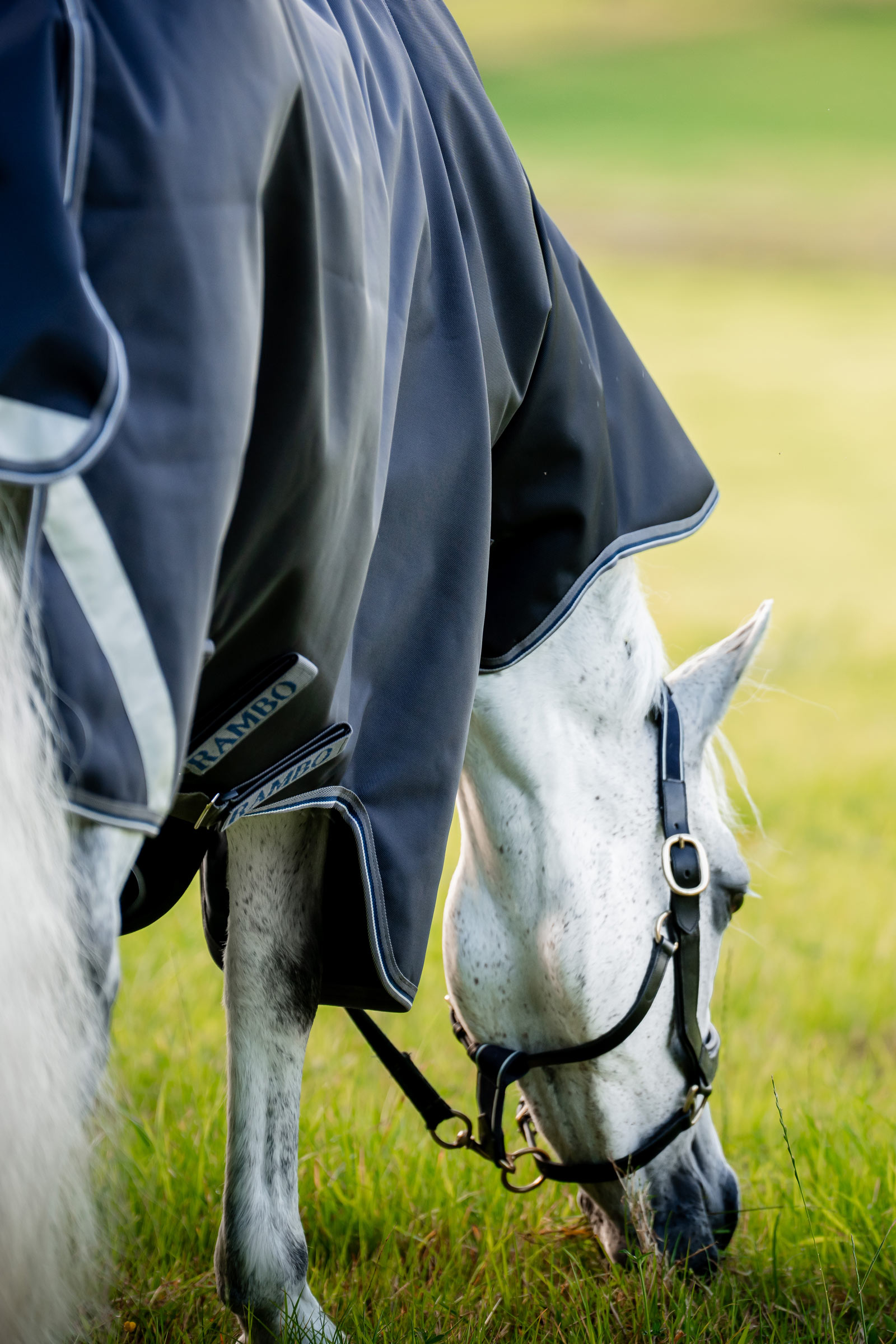 Horseware Rambo 1680D Plus Vario Layer derka padokowa, 250 g