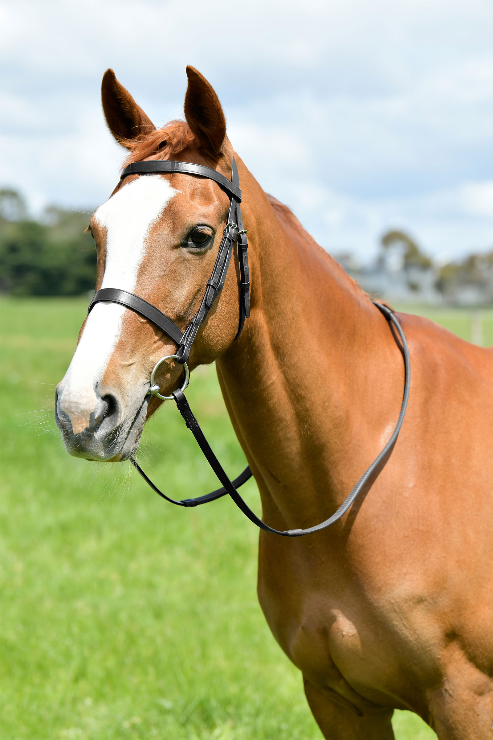 Black Kincade Classic płaskie ogłowie myśliwskie z wodzami