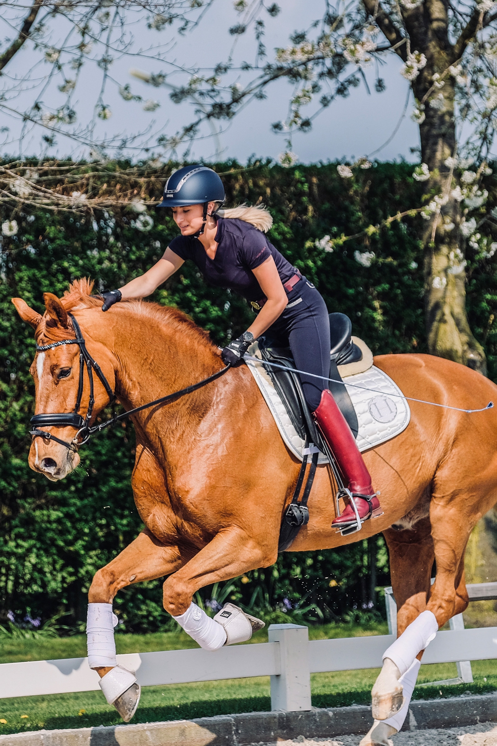 Rękawice jeździeckie Uvex sumair