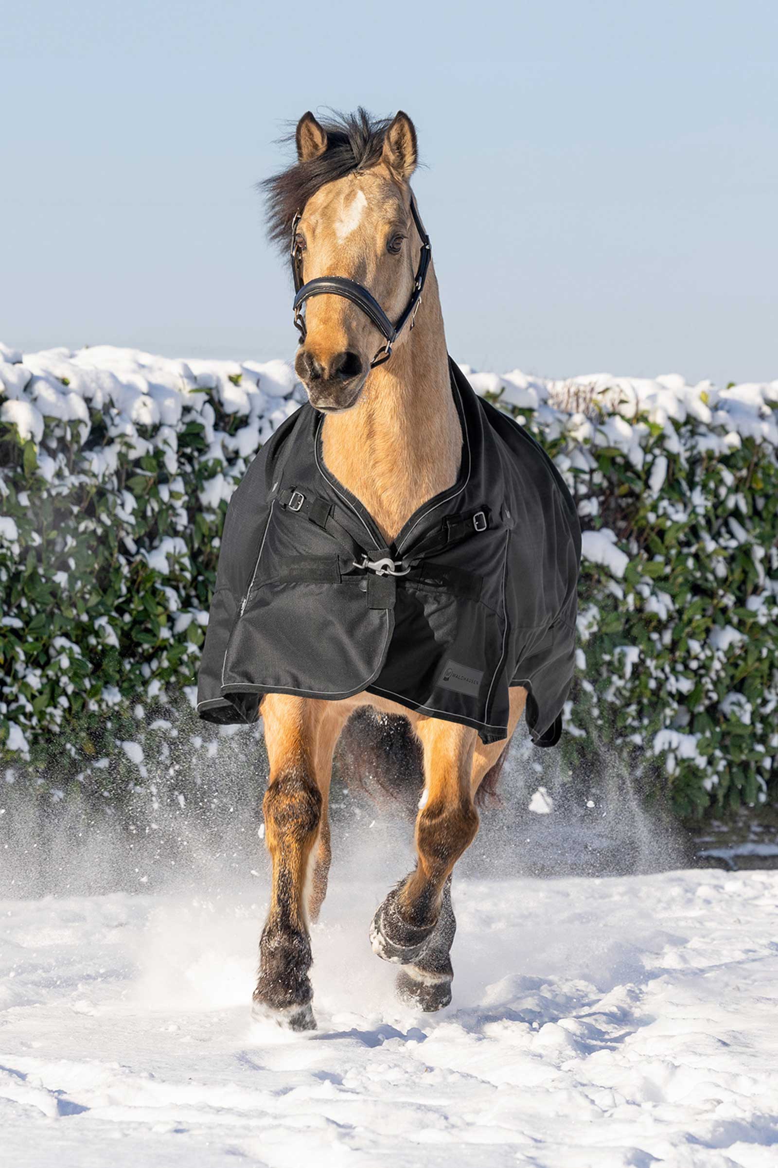 Waldhausen Scandic Derka padokowa z wysokim kołnierzem, 200 g
