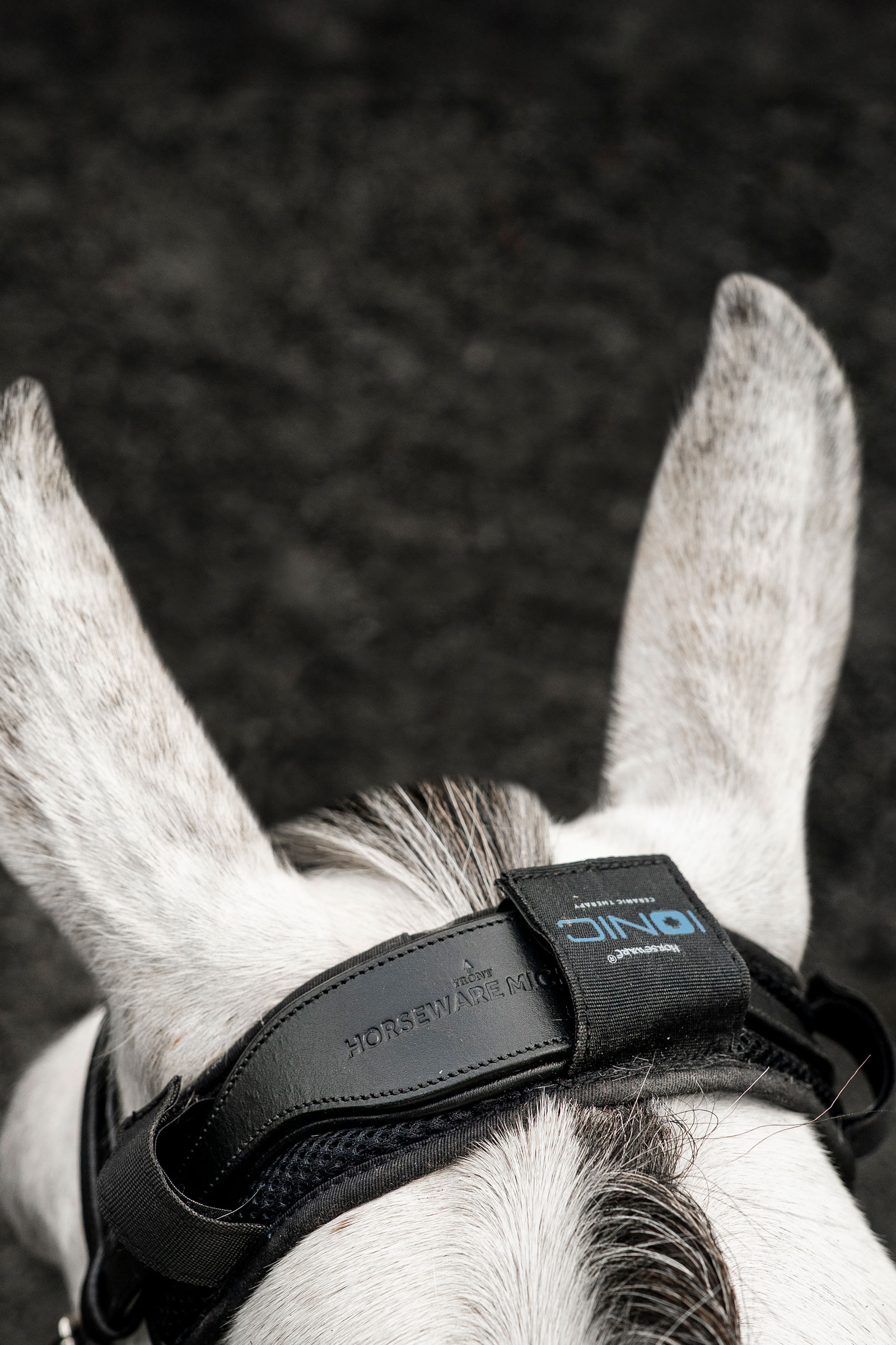 Horseware Ionic ochraniacz potylicy