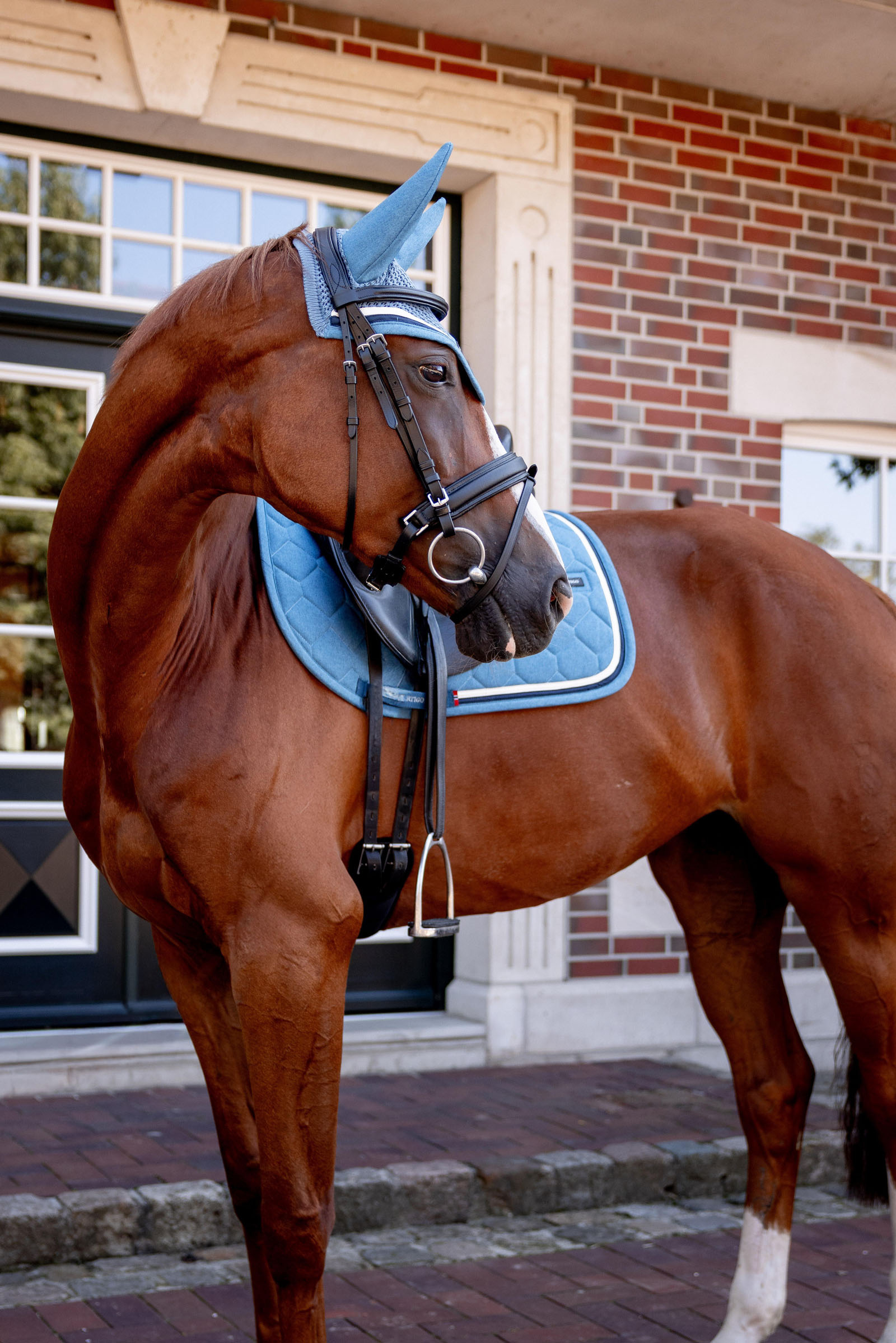 High Altitude czaprak ujeżdżeniowy