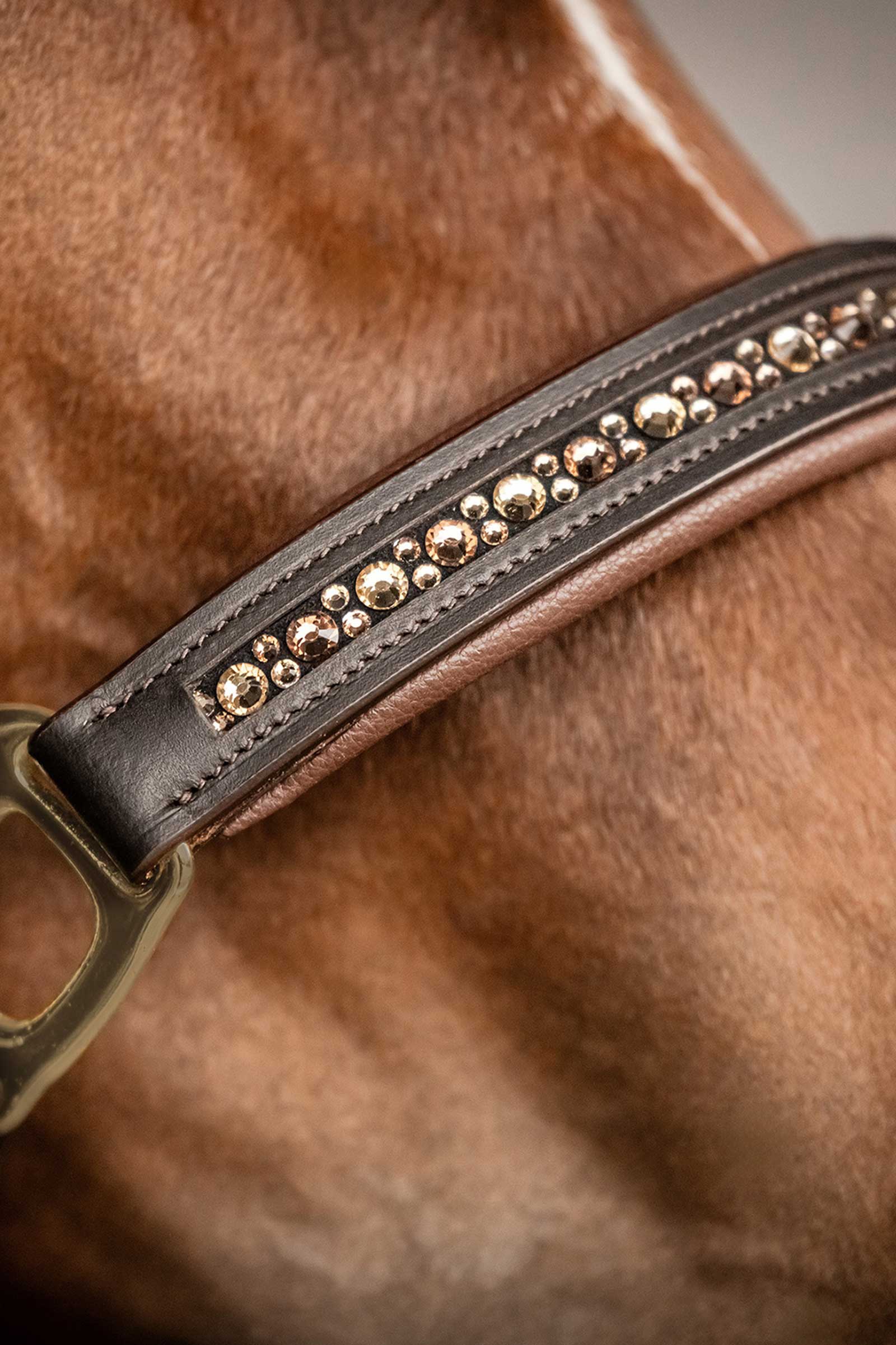 Waldhausen X-Line Crystal Skórzany Kantar