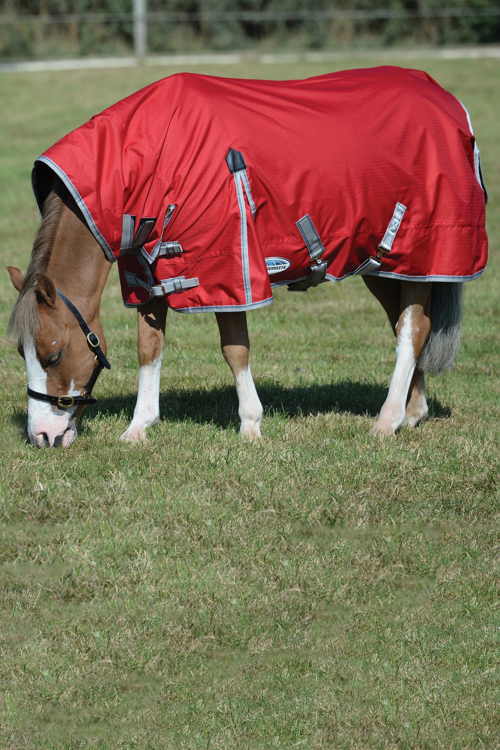 Weatherbeeta Comfitec Classic Derki dla konia z wbudowanym kołnierzem, 50g