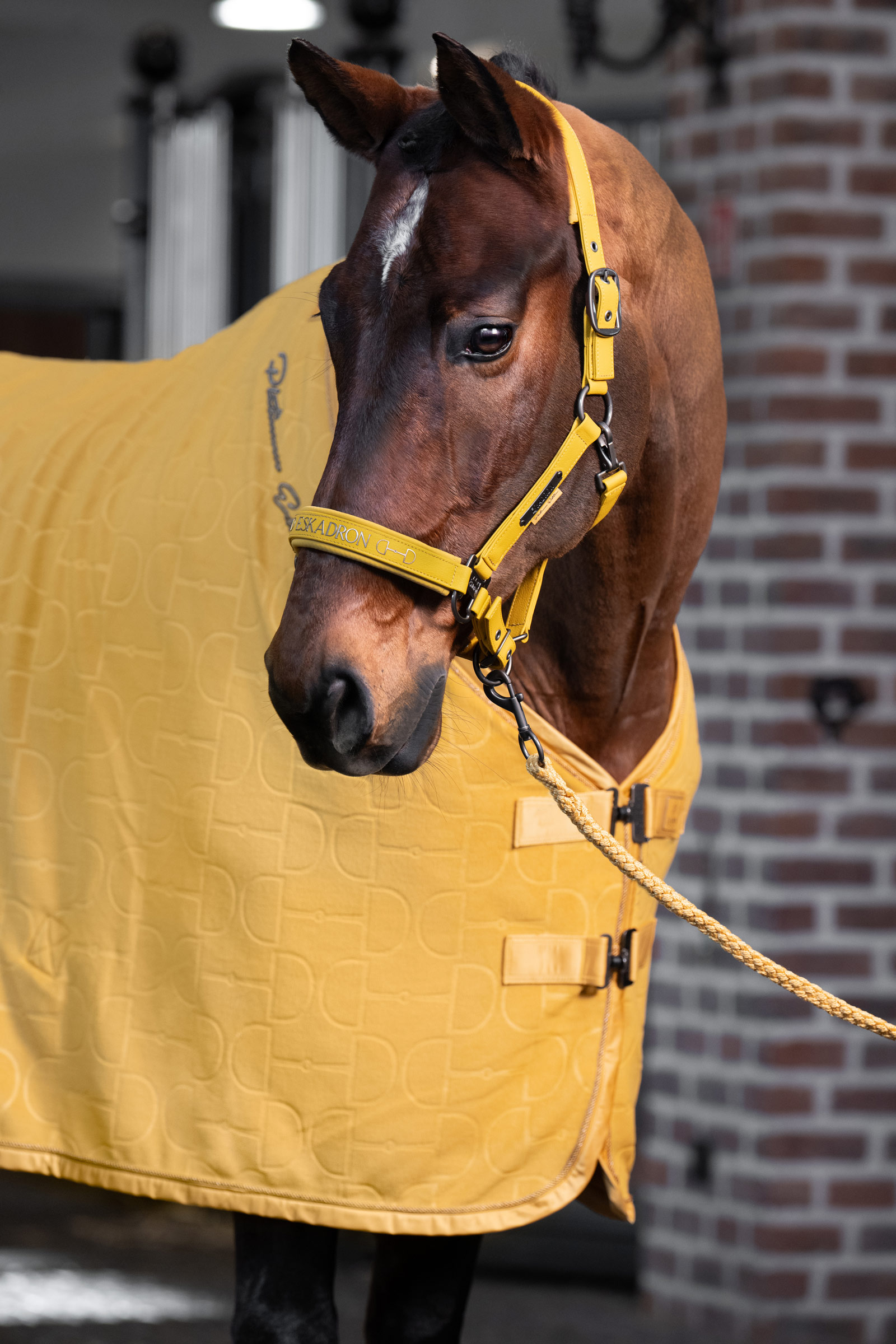 Eskadron Platinum 25 Kantar z podw&oacute;jnymi pinami ze sk&oacute;ry ekologicznej