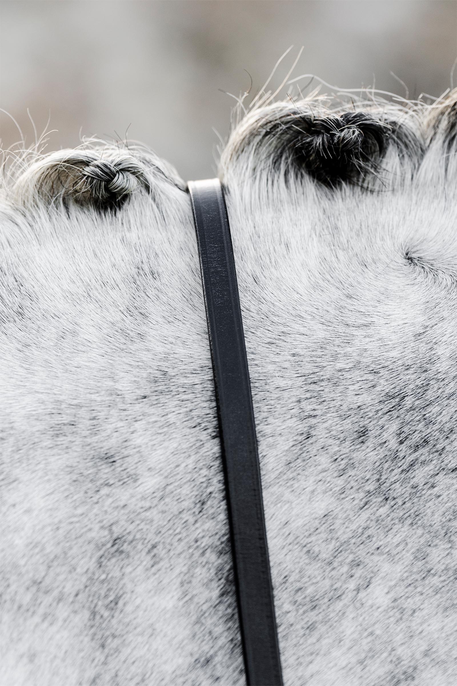 Horseware wodze munsztukowe