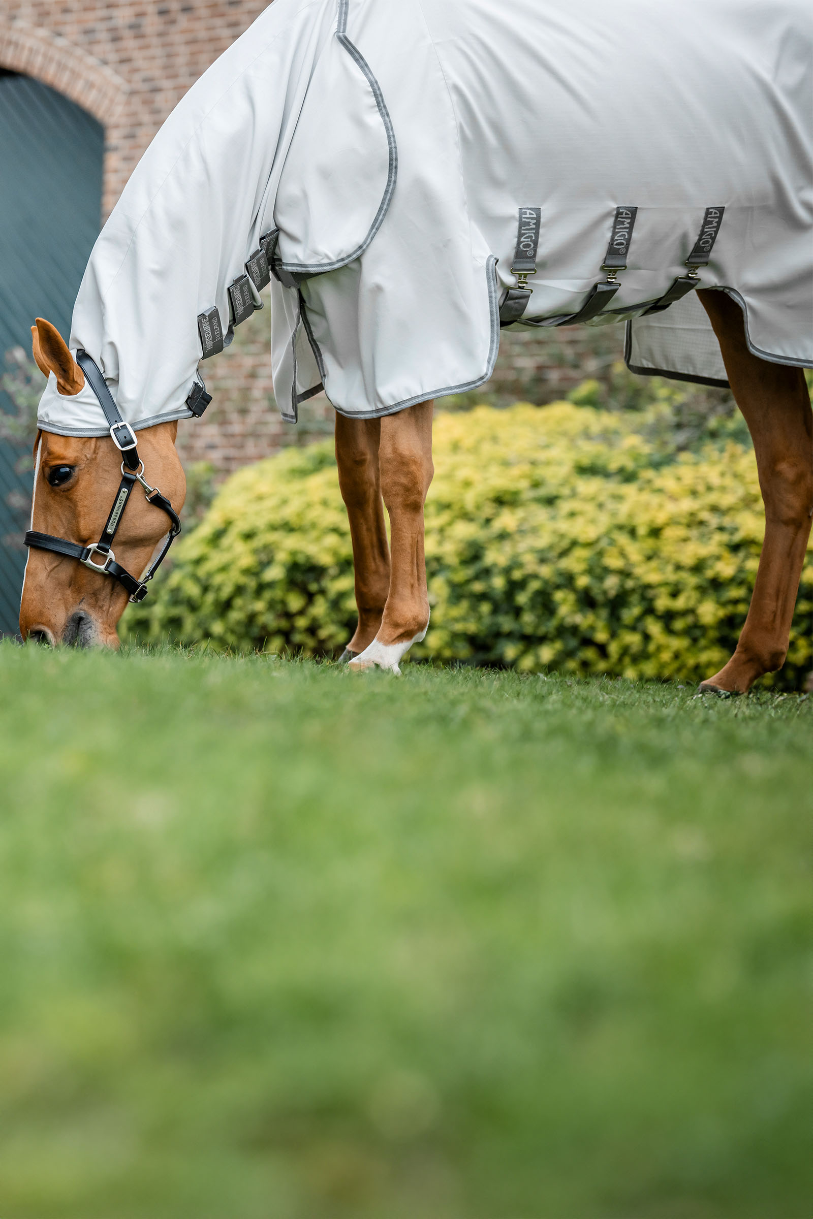 Horseware Amigo Ripstop Derka przeciw owadom