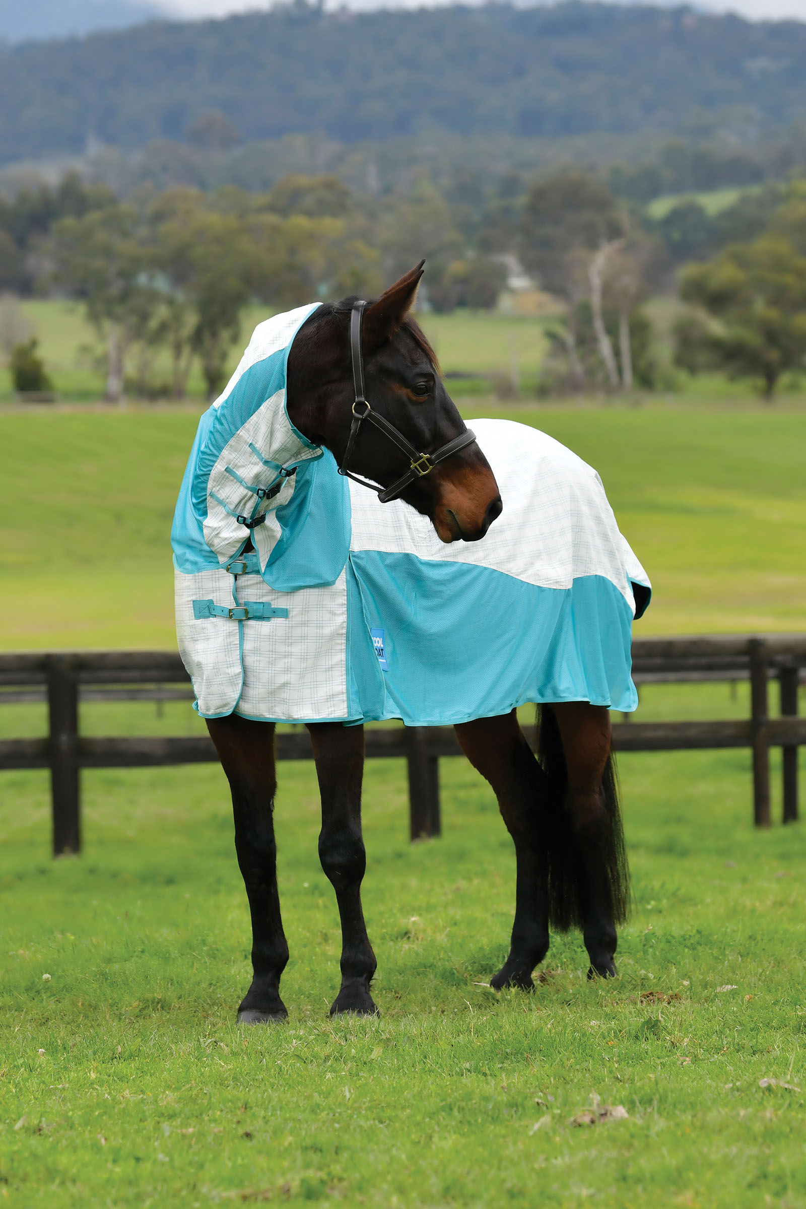 Weatherbeeta Kool Coat Bawełna Airstream Ii Detach-A-Neck