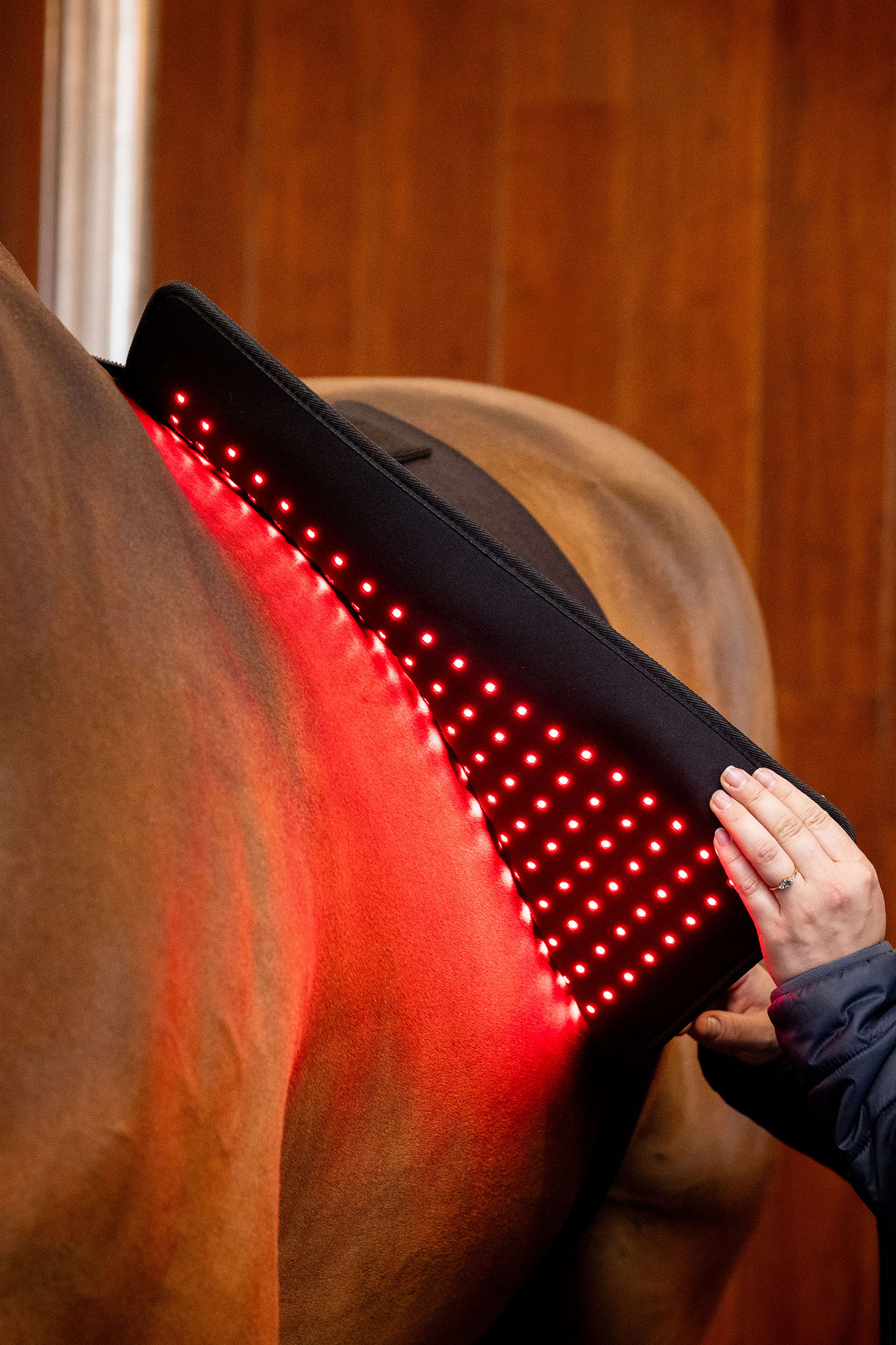 Horseware LED terapeutyczny Pad z czerwonym światłem