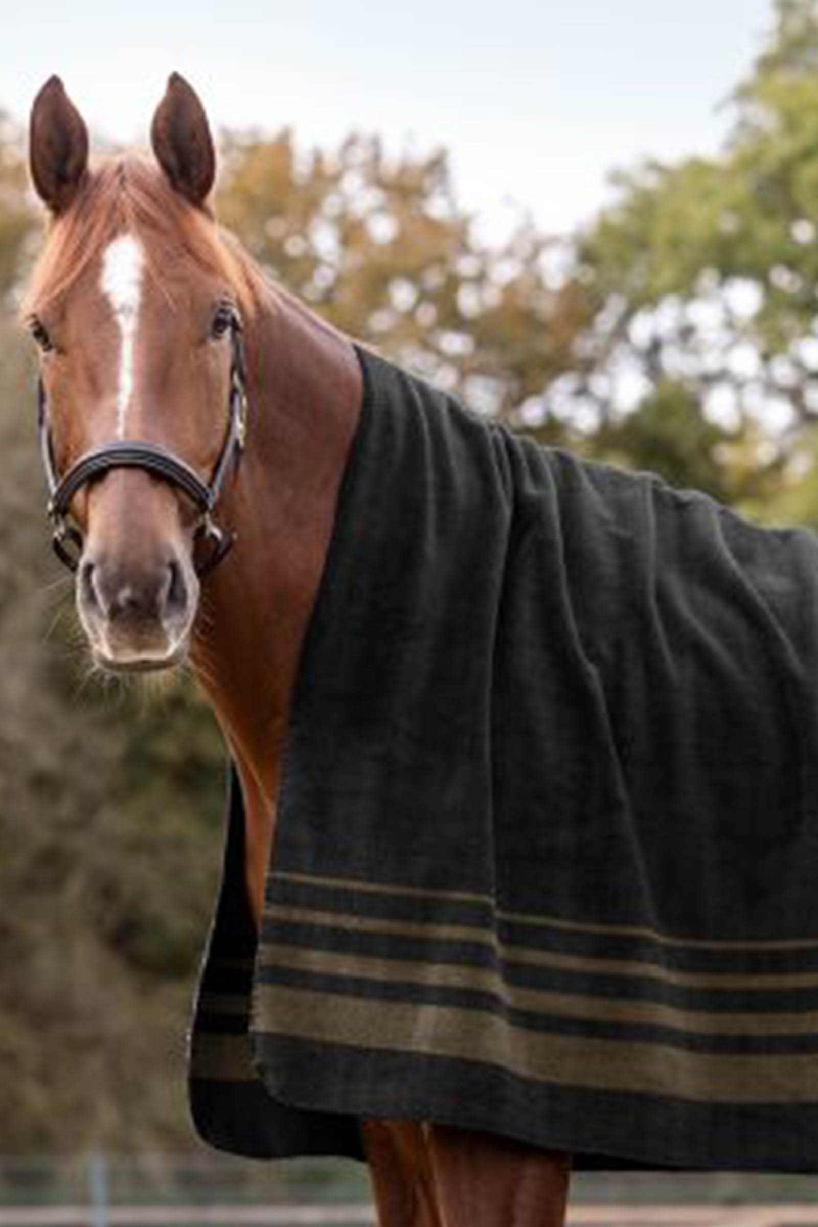 Waldhausen S&ouml;lden derka polarowa
