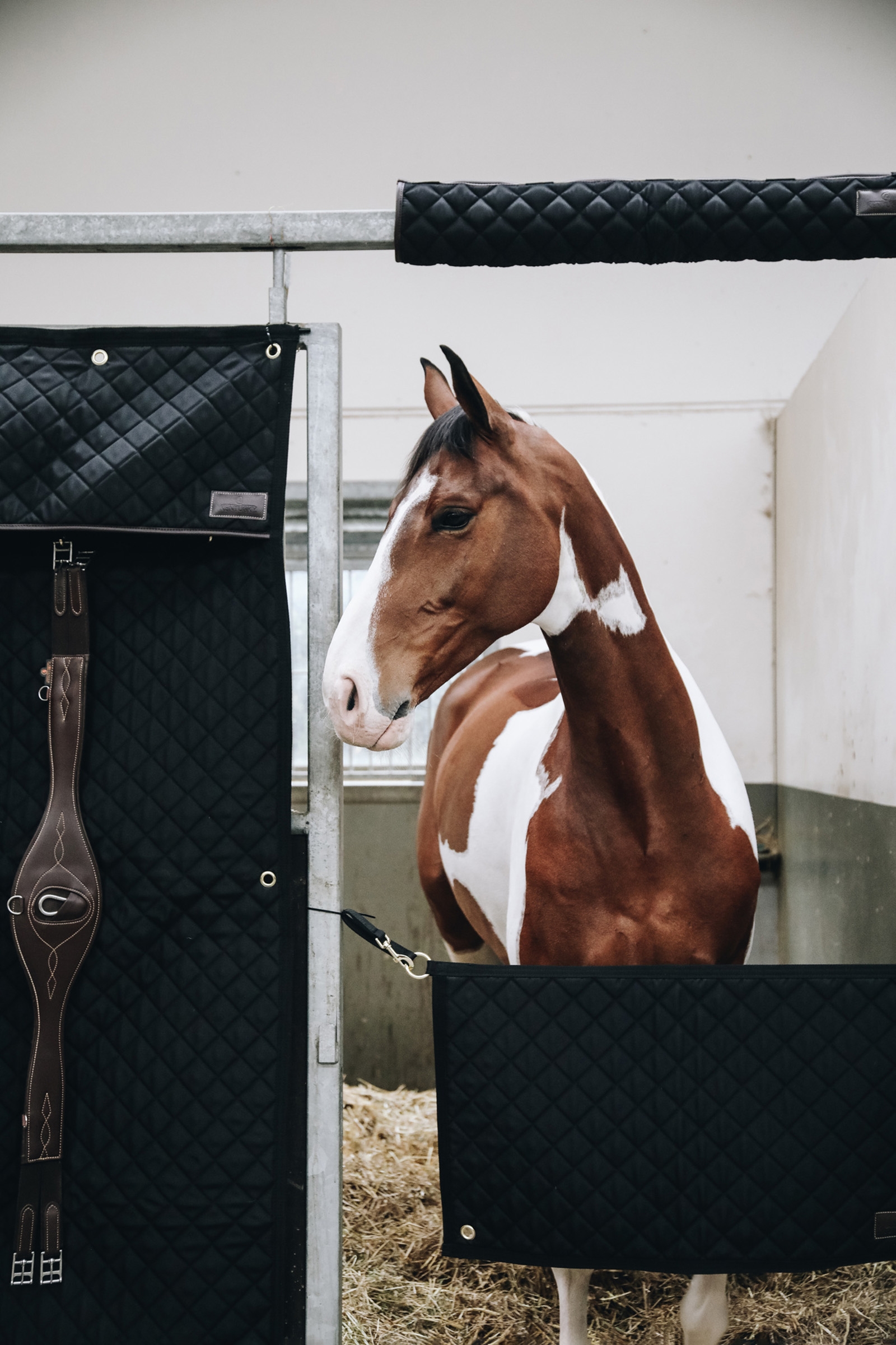 Bramka na boks Kentucky Horsewear Stable Guard