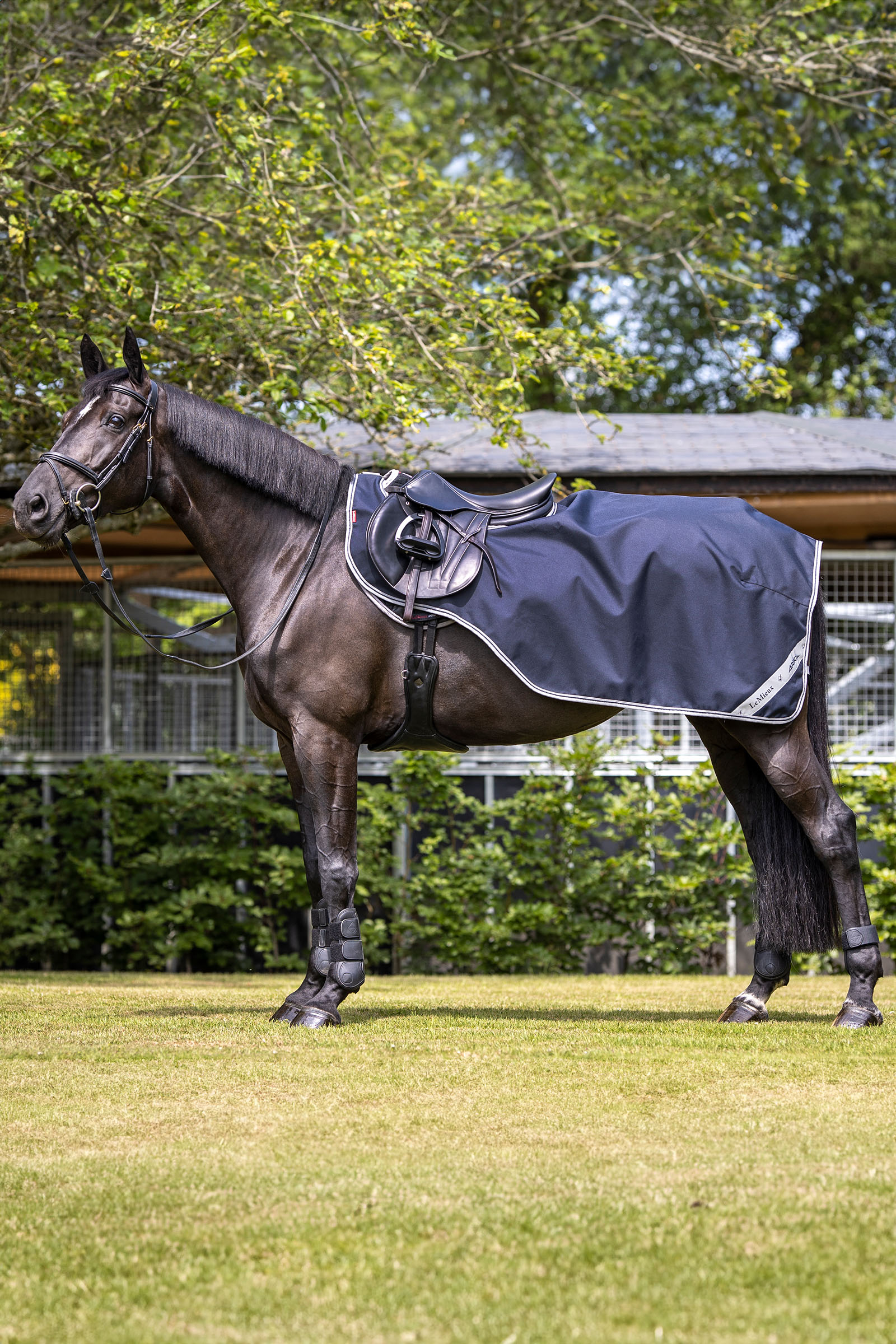 LeMieux Arika derka treningowa