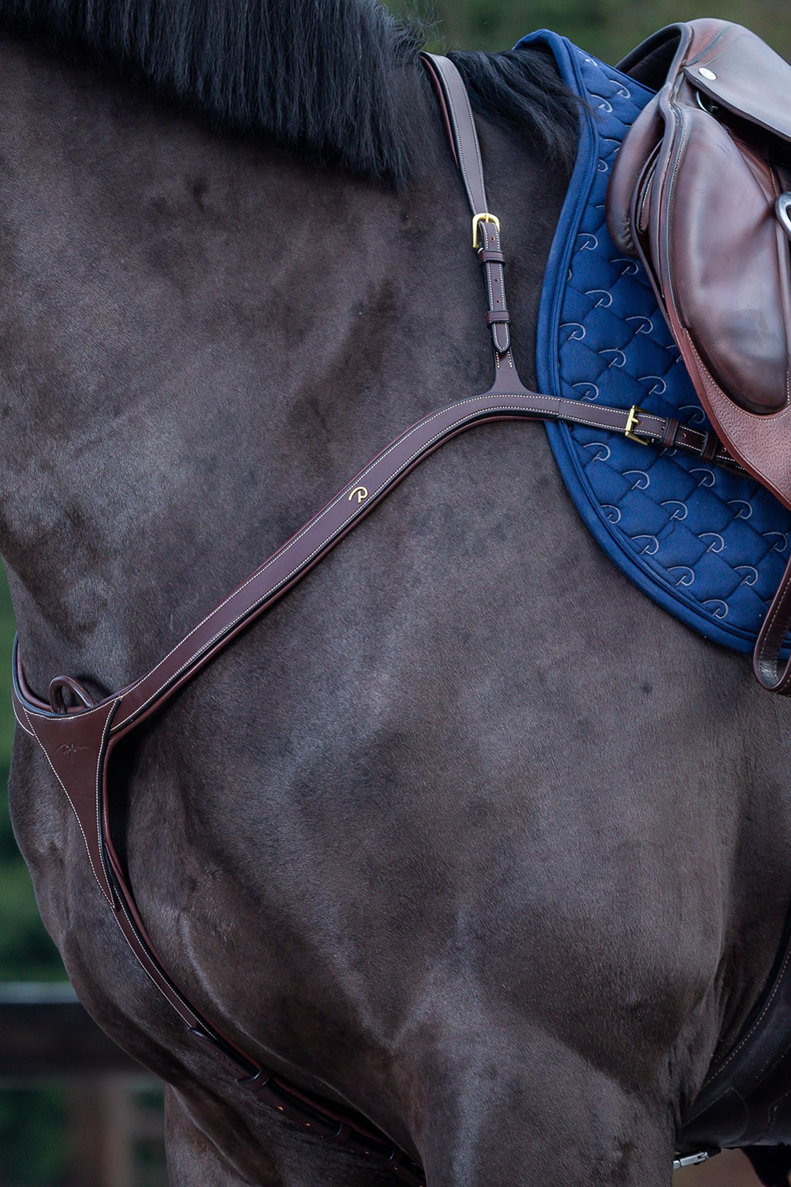 Brown Dy'on D Collection napierśnik z długim mostkiem