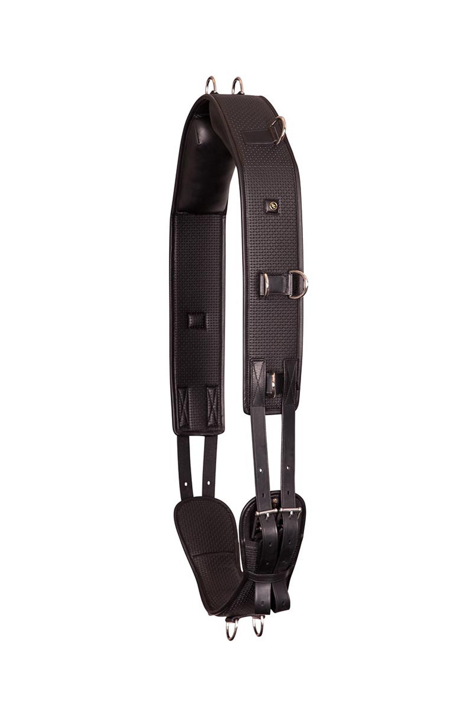 BR Gentle pas do lonżowania