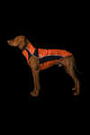 Back on Track Eddie Petite High-Visibility Jumper, 30-35cm
