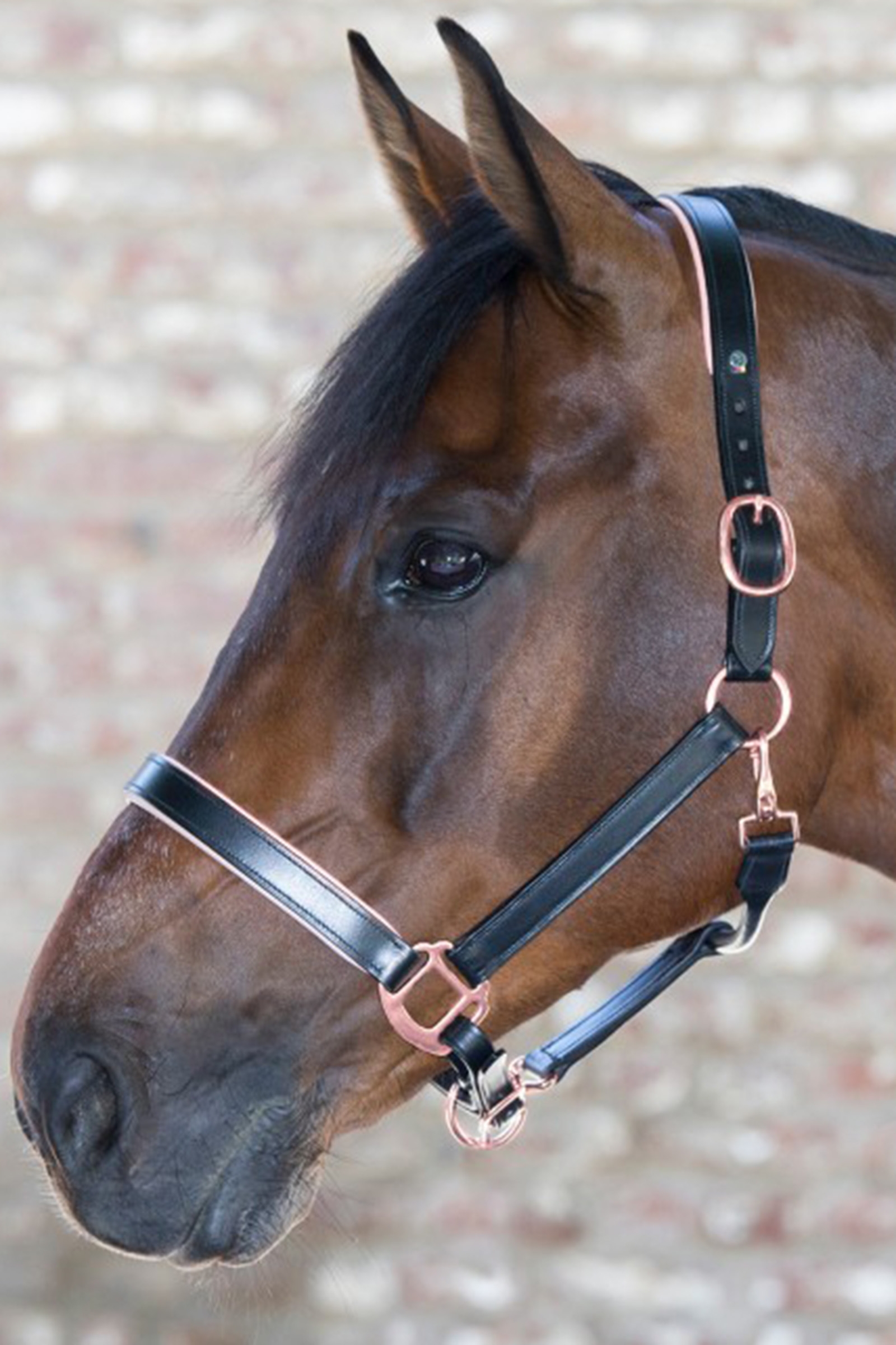 Skórzany kantar Waldhausen X-Line w kolorze różowym