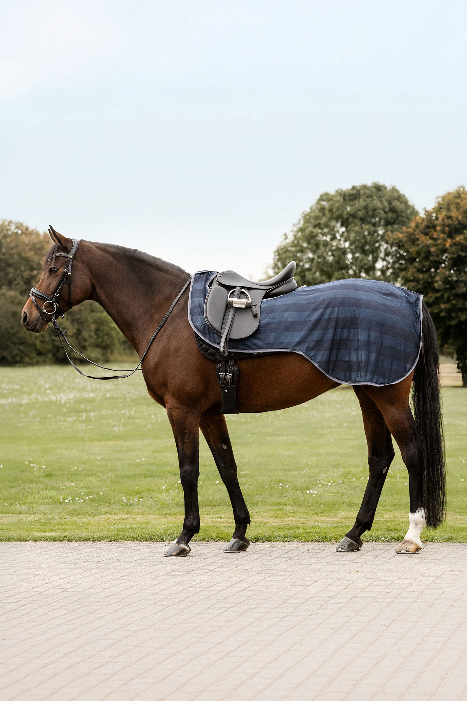 Waldhausen Economic derka przeciw owadom do jazdy